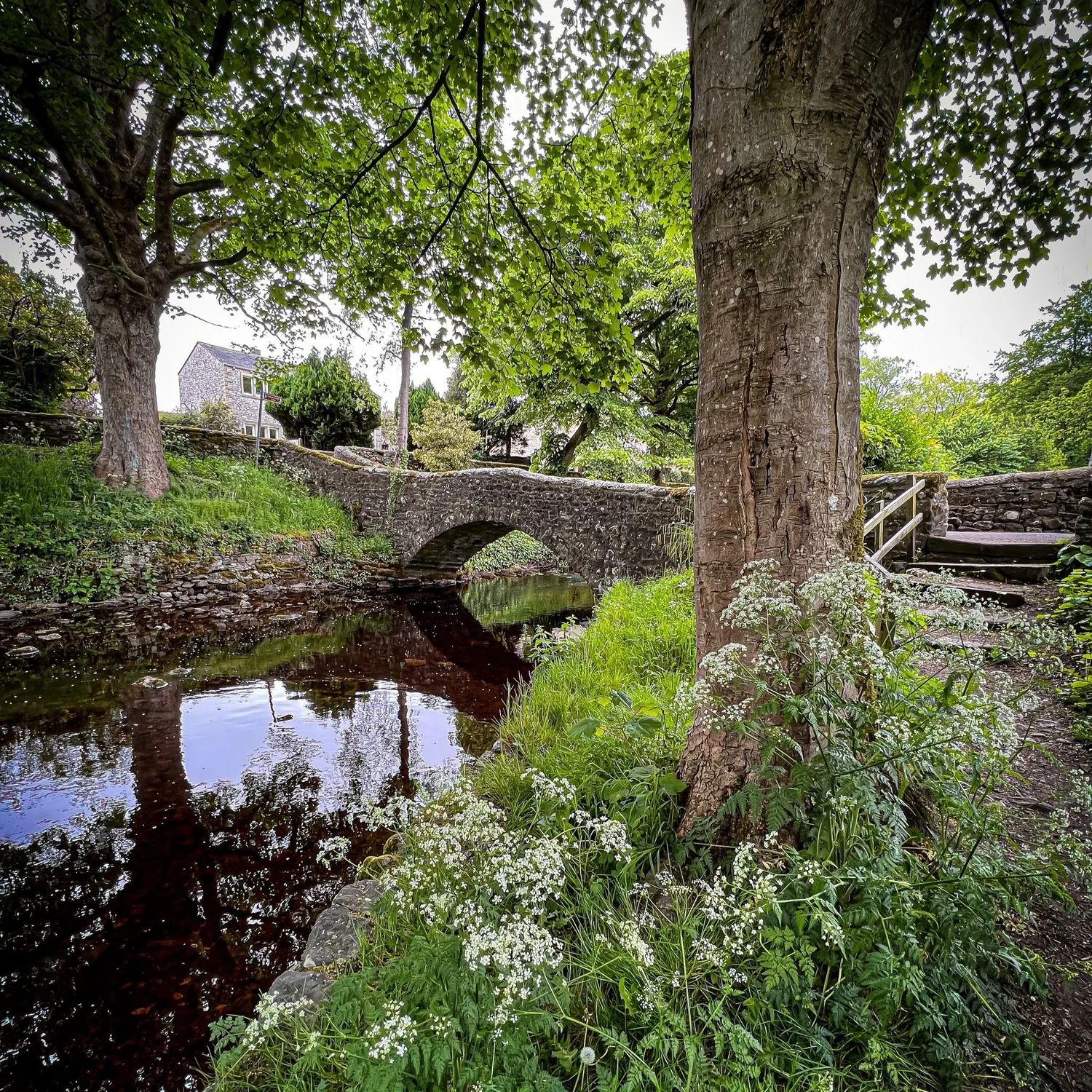 Yorkshire Dales Witches — The Reluctant Explorers Yorkshire Walking