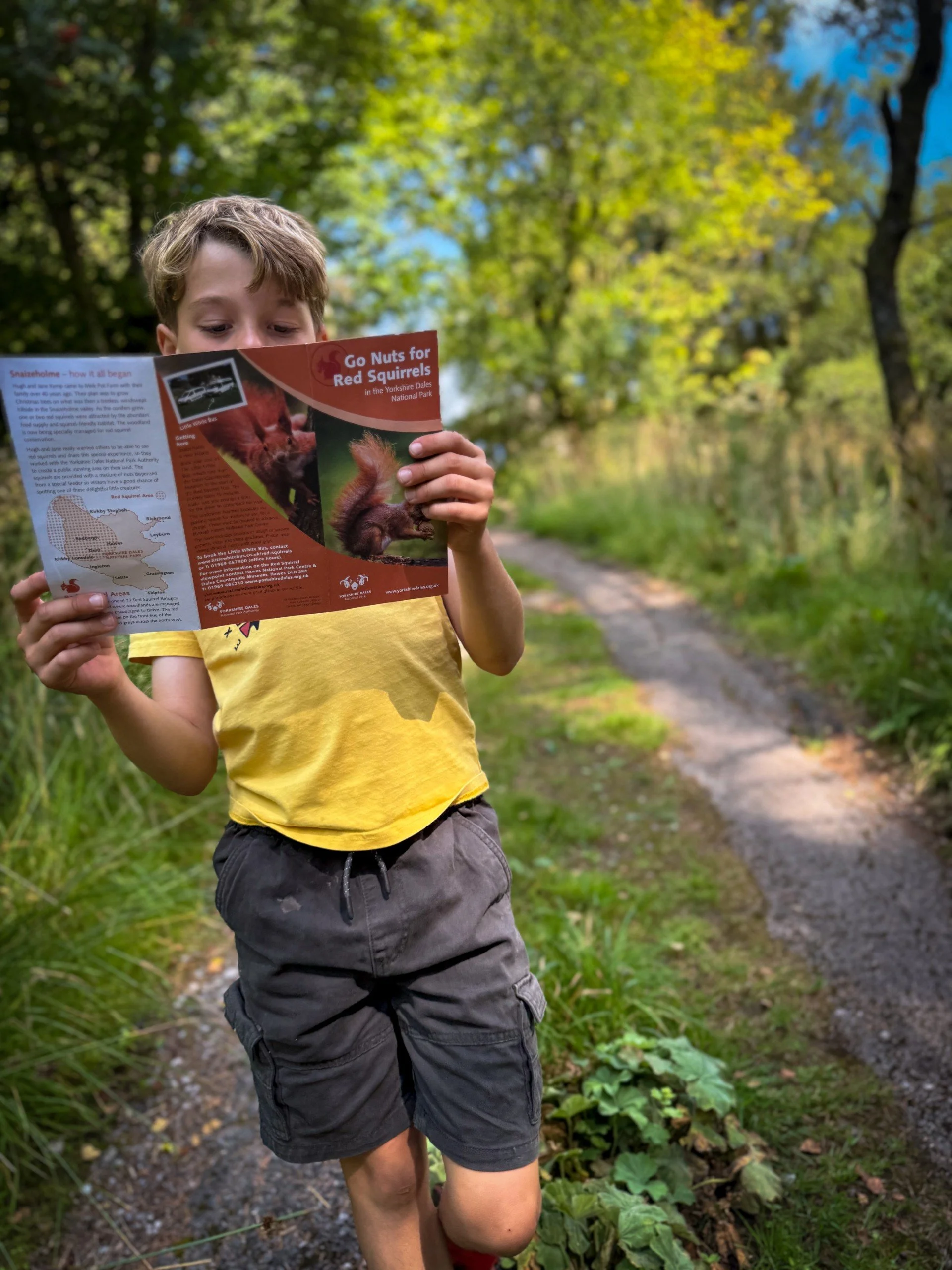 Child reading a leaflet about red squirrels