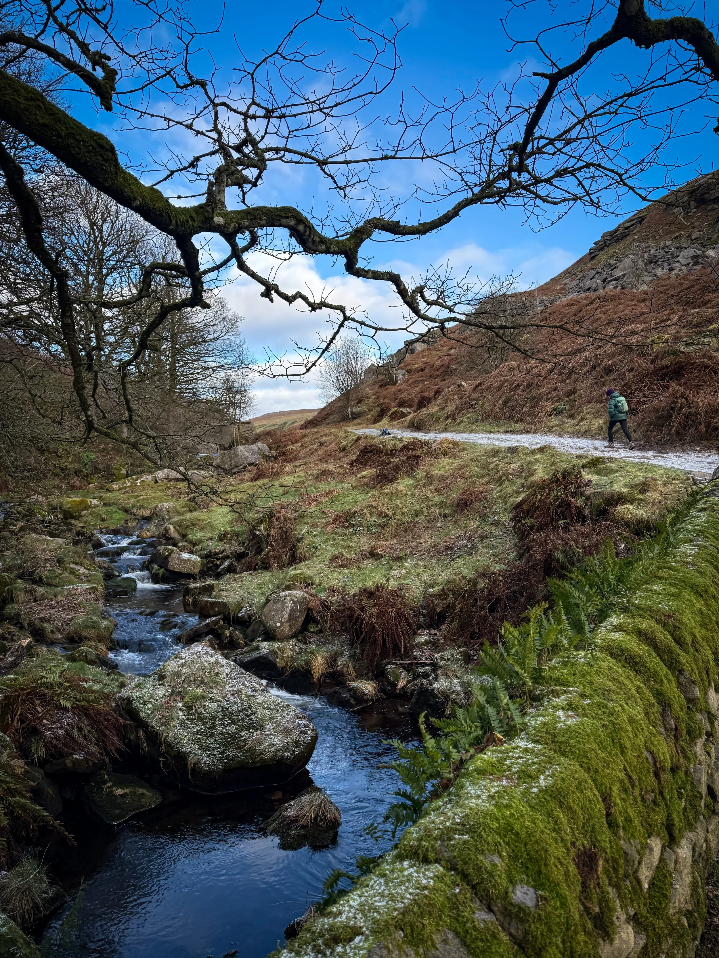 Child walking along path with bridge in foreground and tree branch in winter