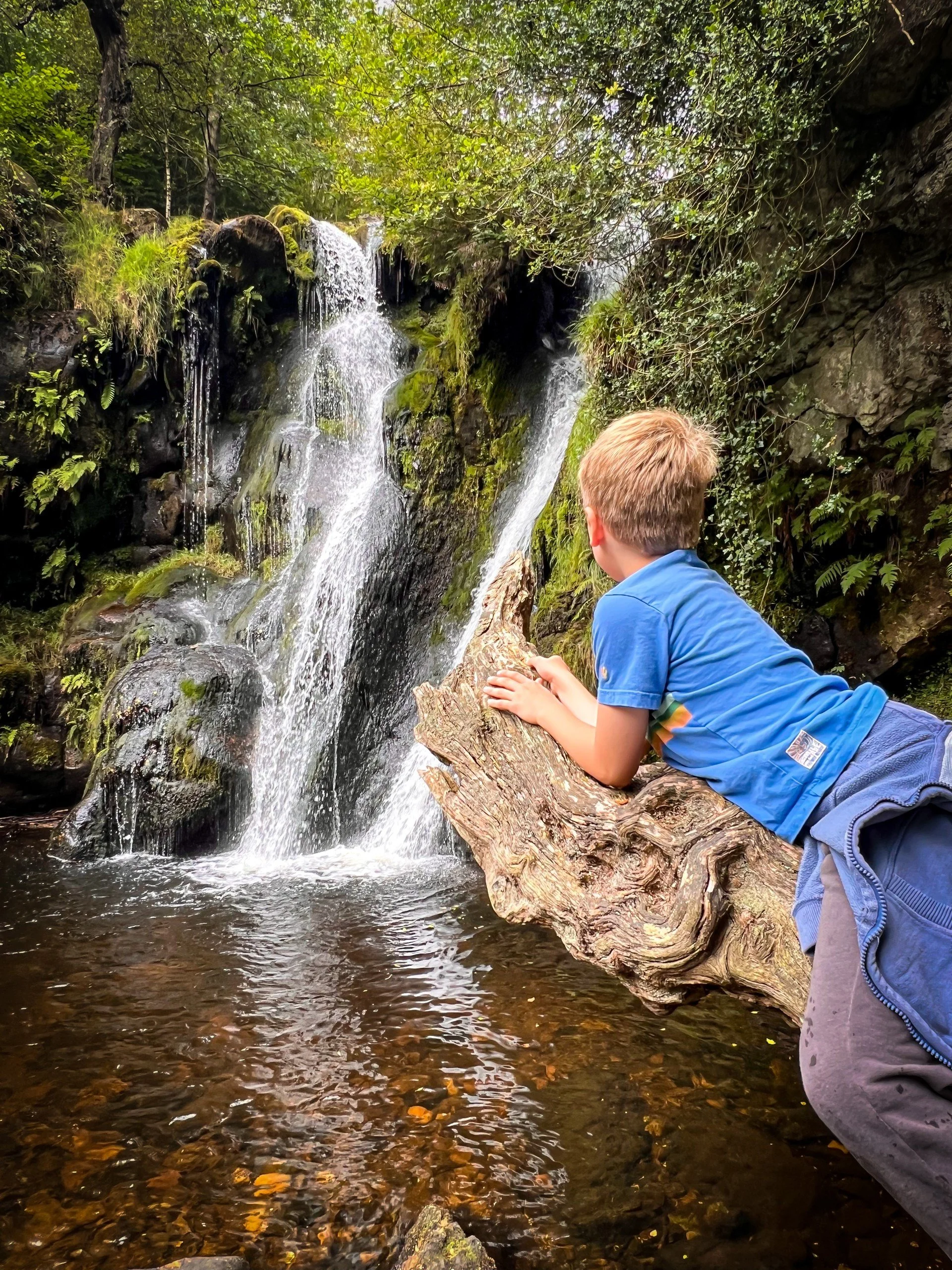 Child lying front down on a fallen tree looking at a waterfall