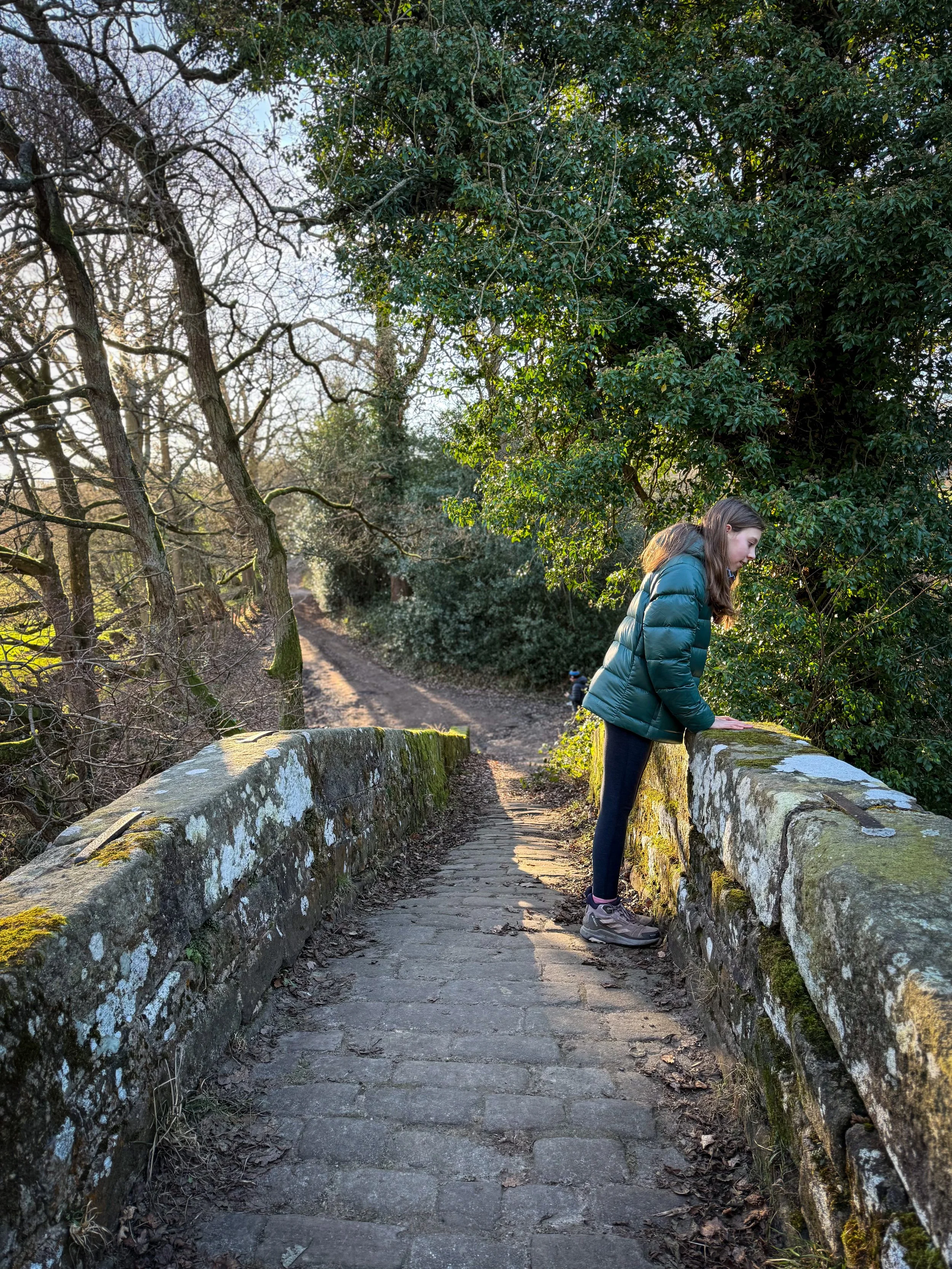 Child looking over the edge of a bridge