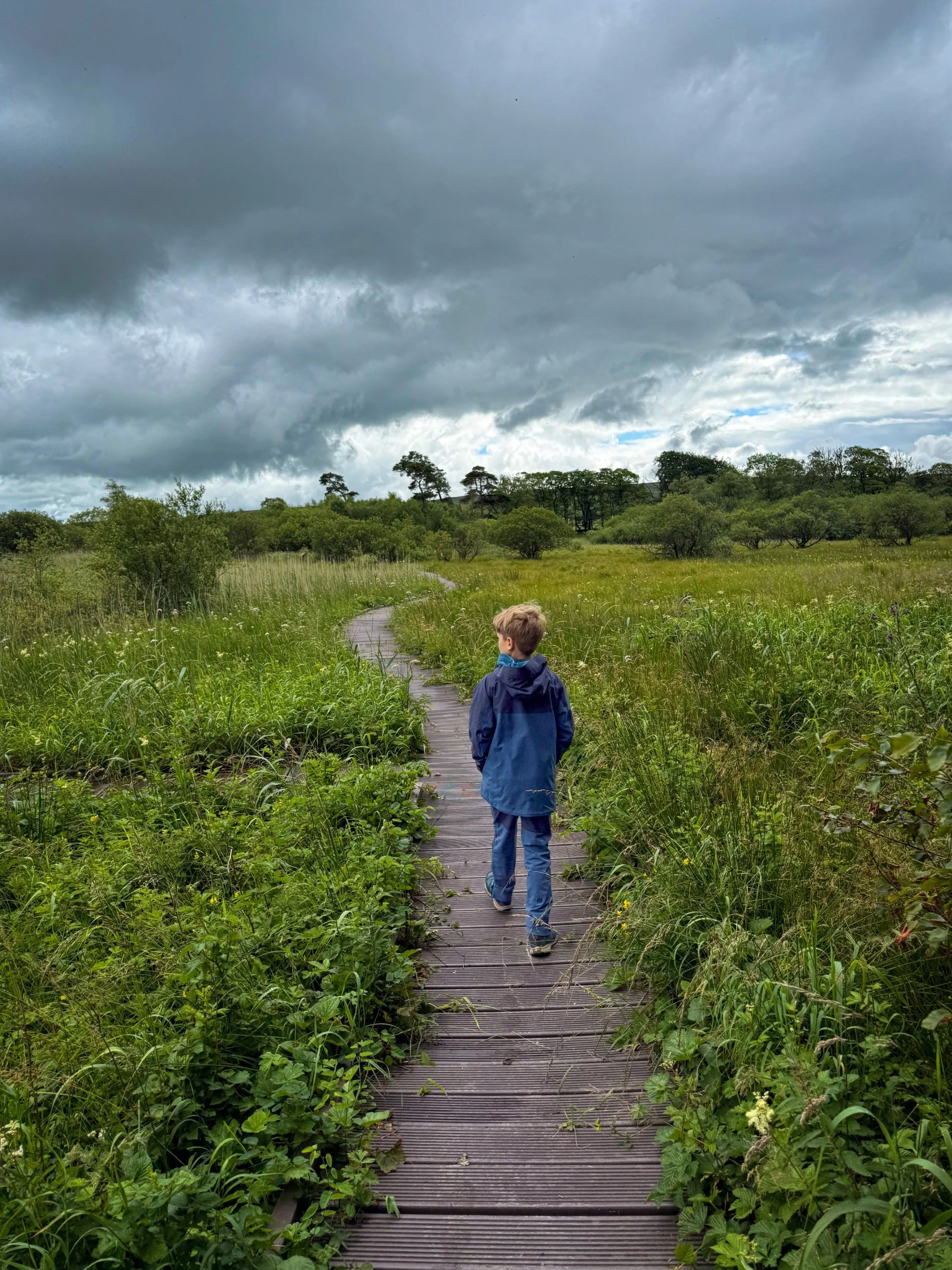 Child walking on duckboards through lush green foliage under a grey stormy sky