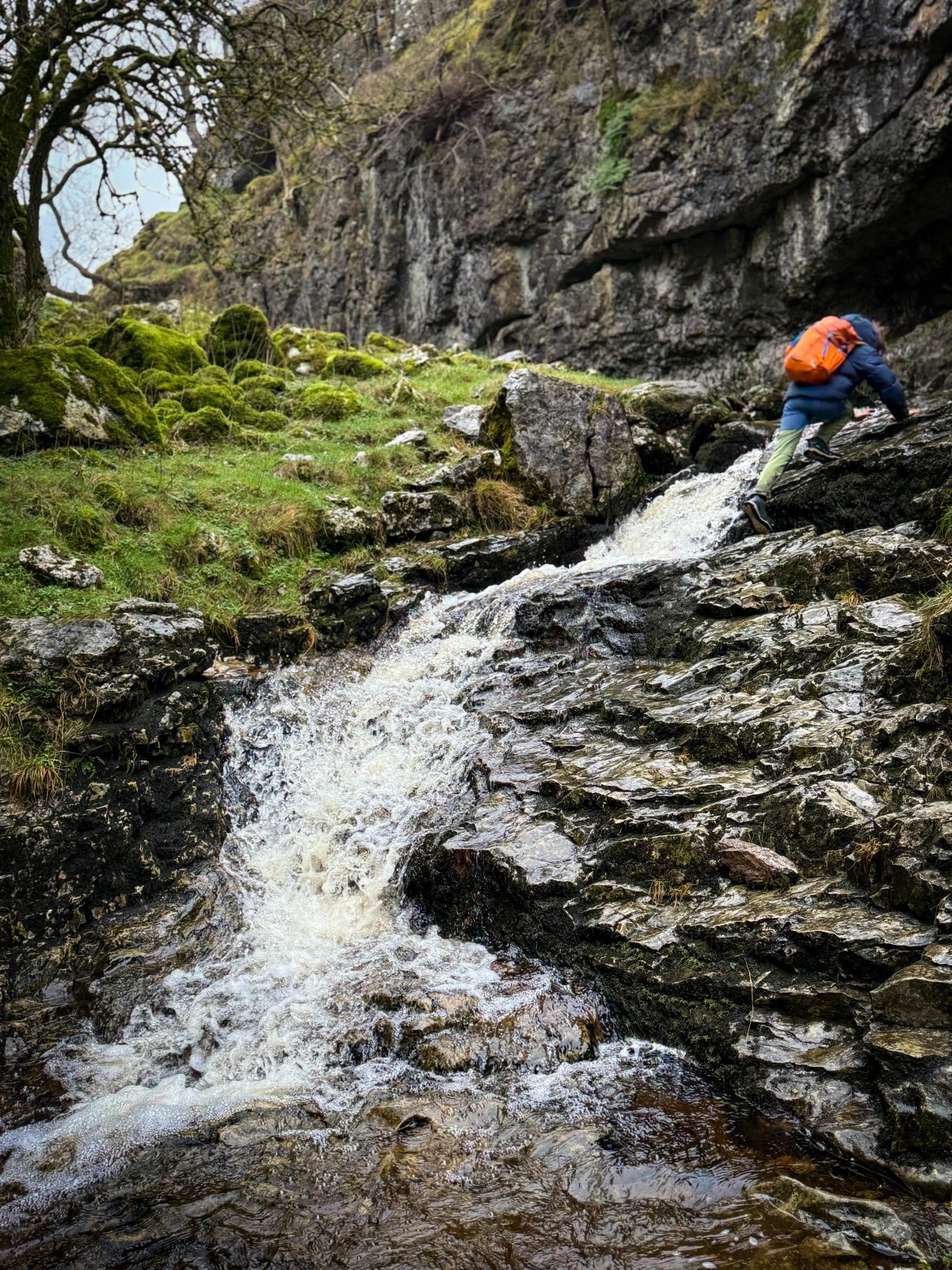 Child climbing up the side of a waterfall in a gill