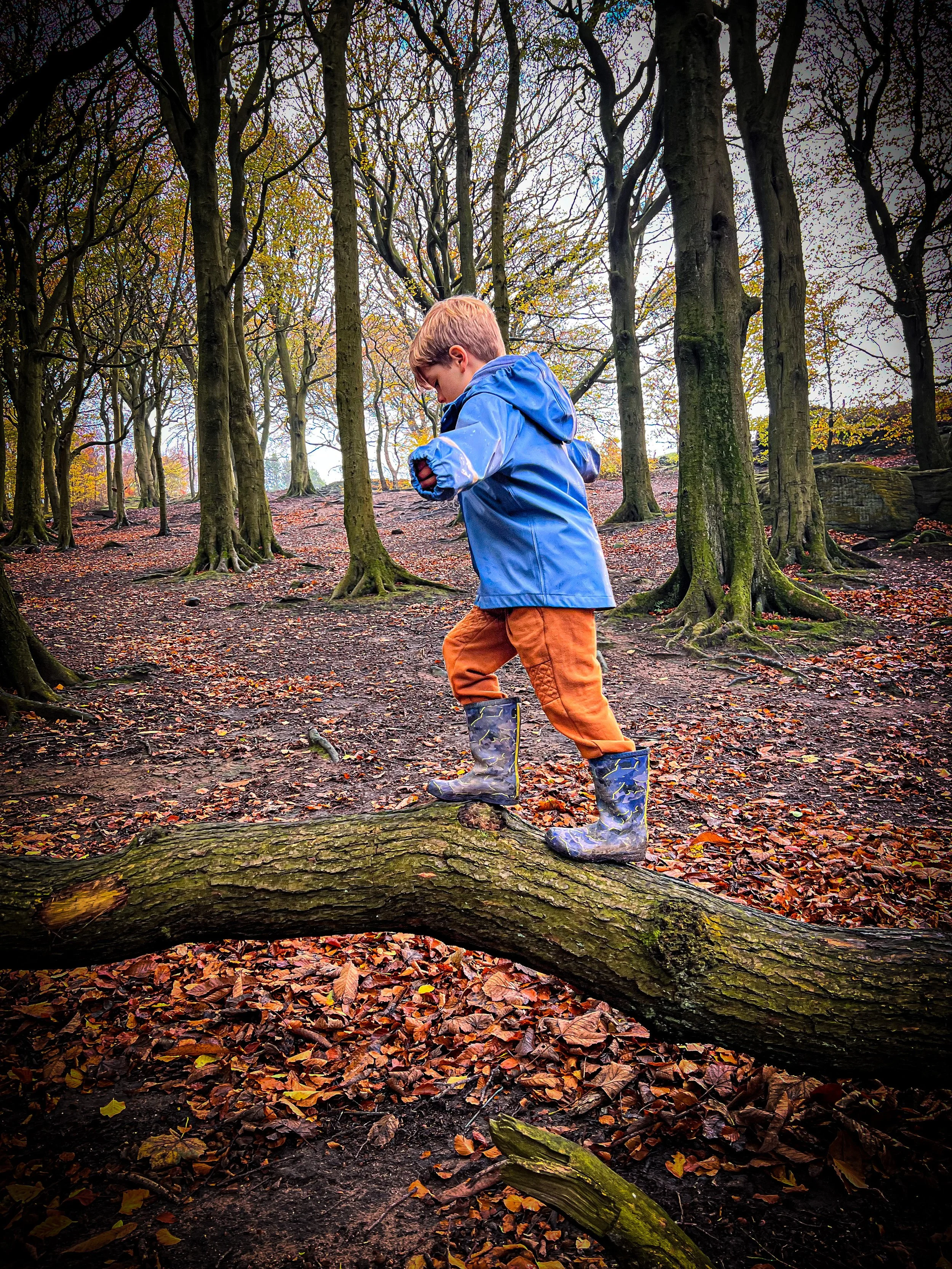 Balancing on a log in the Chevin