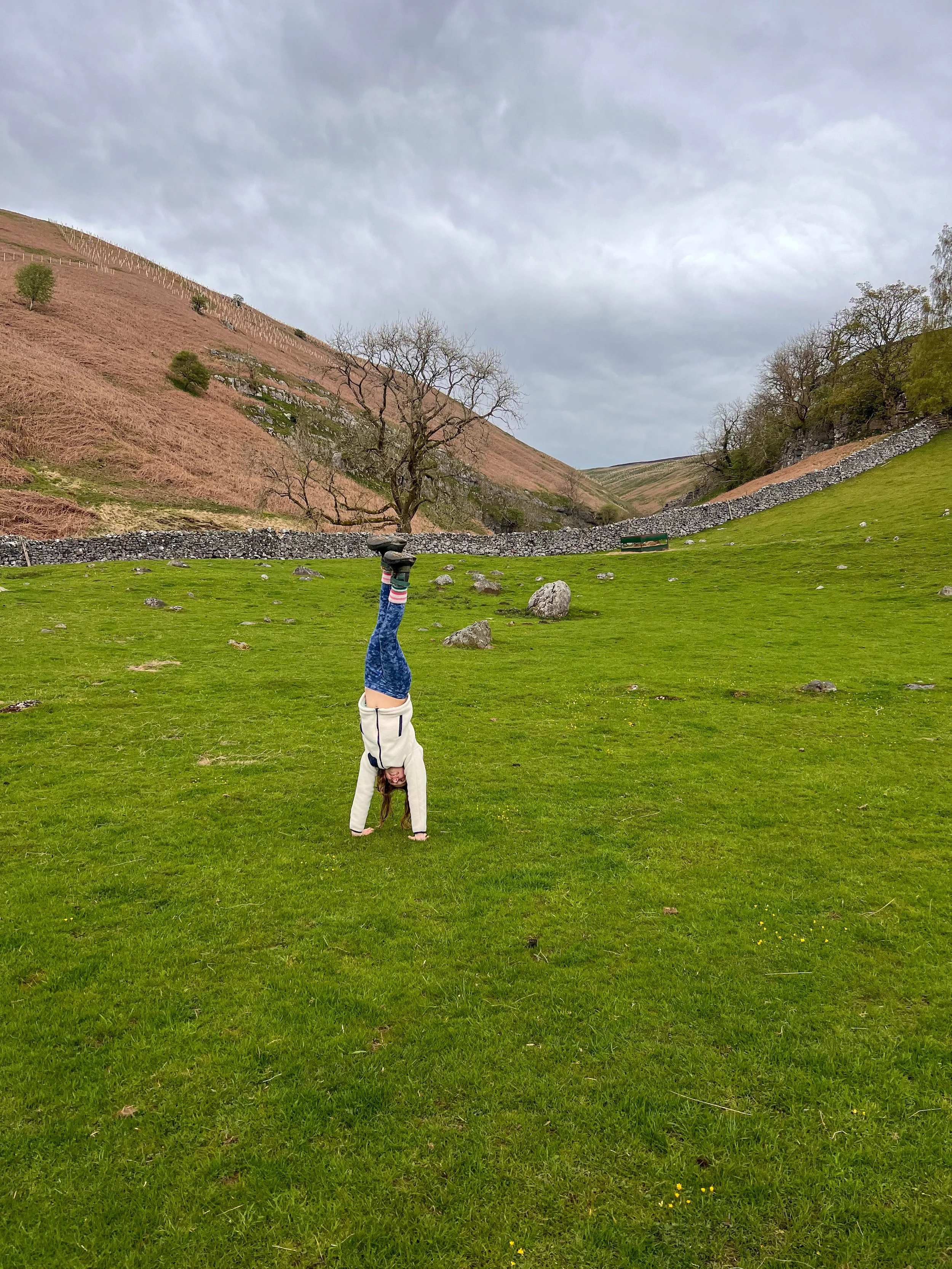 Child standing on her hands with trees and valley behind