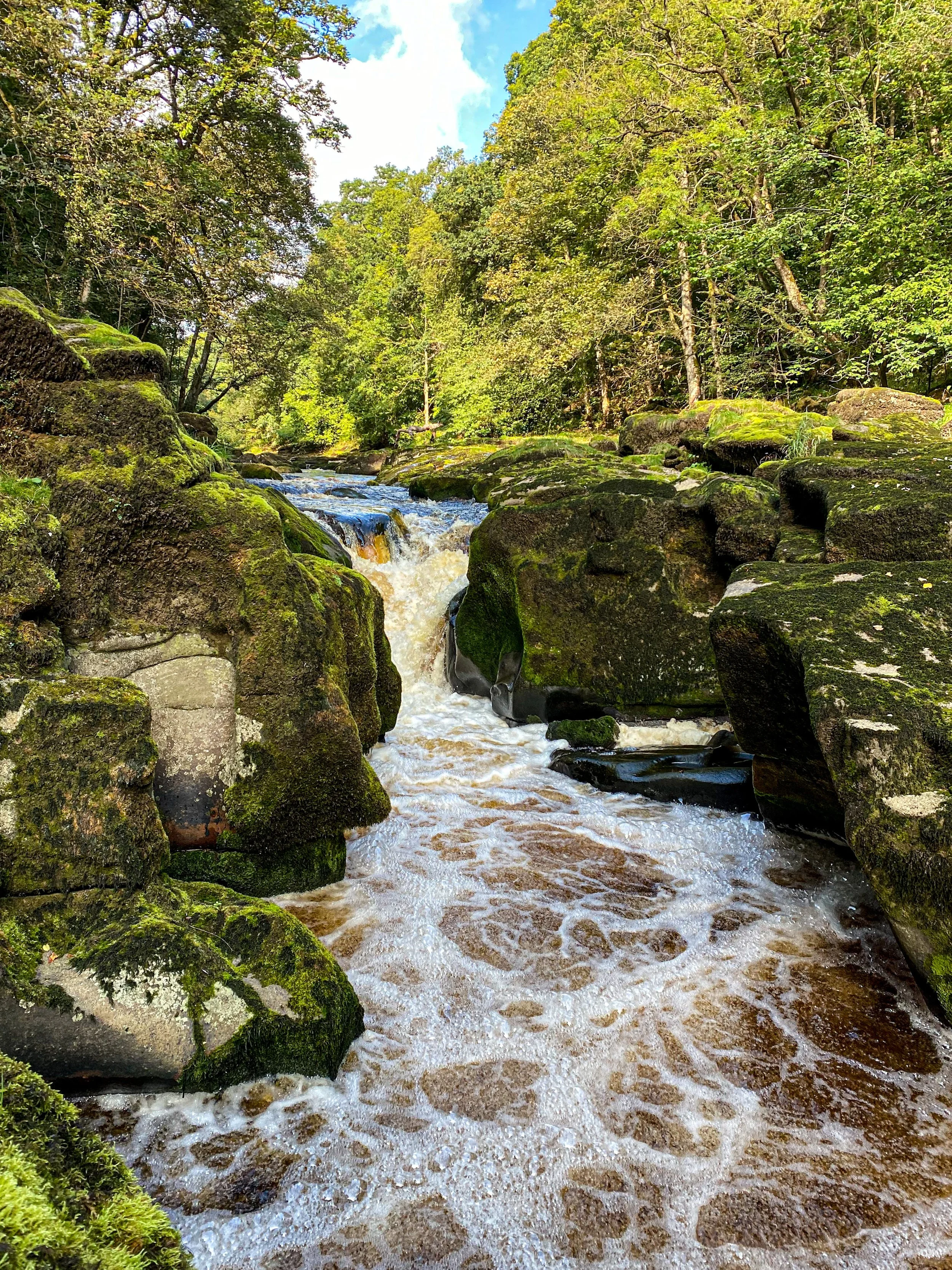 The strid waterfall in with raging water surrounded by green trees in late Summer