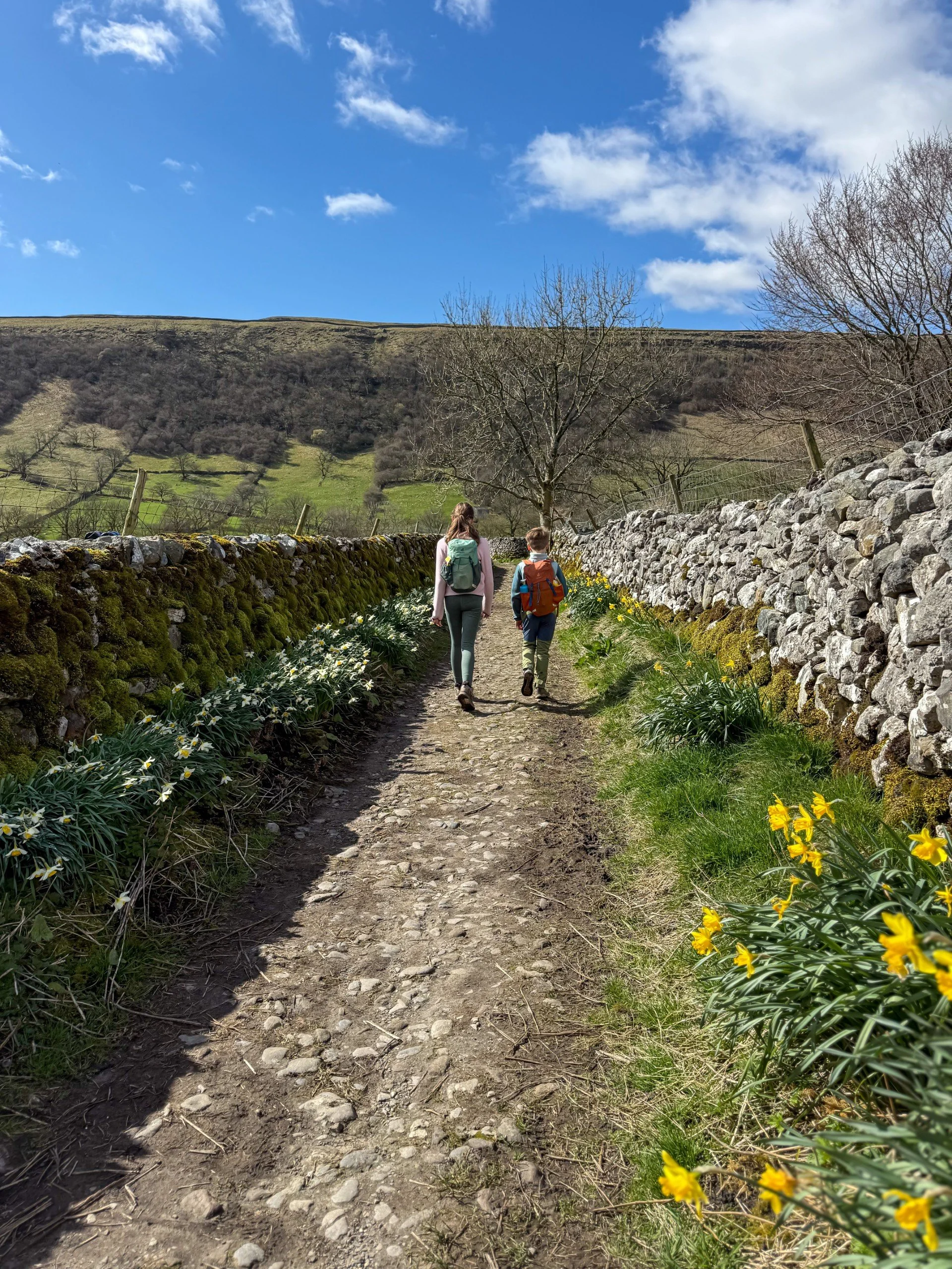 Children walking along a walled path with daffodils and blue skies in the Yorkshire Dales