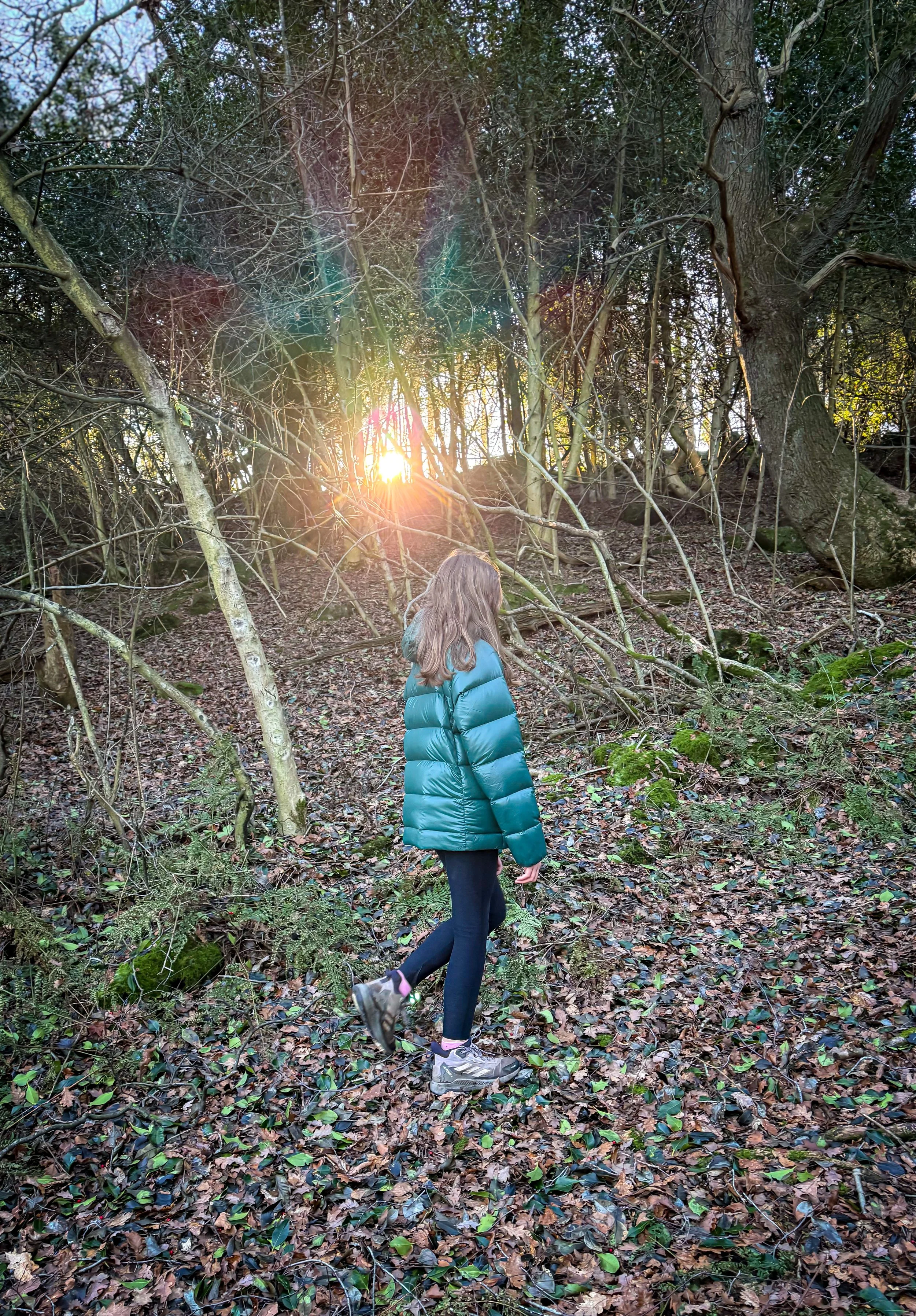 Child walking through woods with sun behind