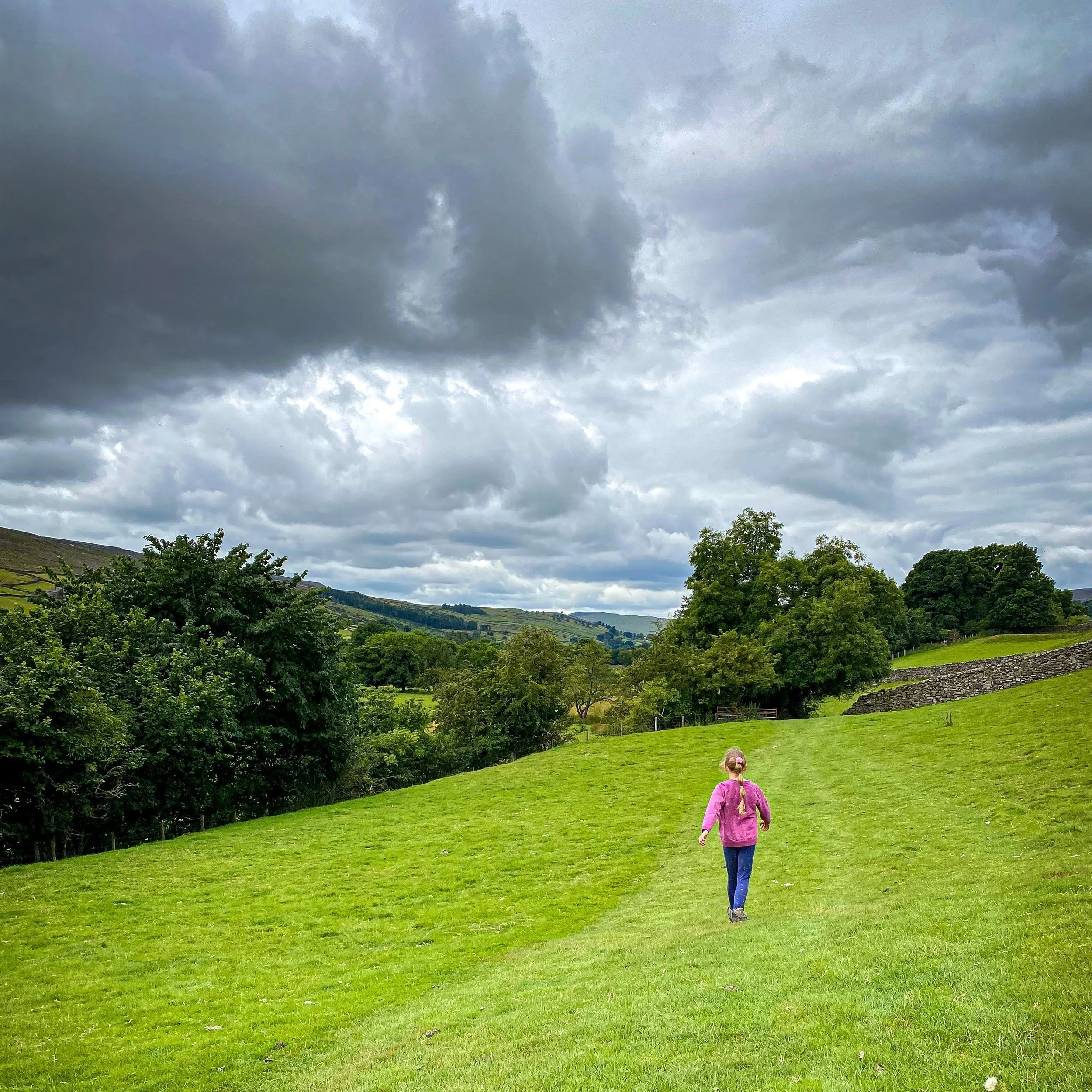 Reeth The Reluctant Explorers: Yorkshire Walking With Kids — Reeth Stepping ...