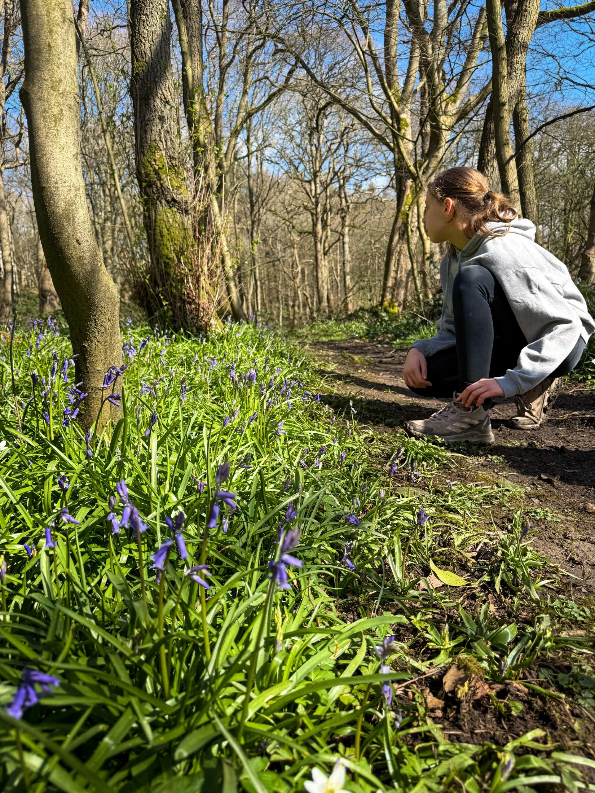 Child crouching next to emerging bluebells in woodland under blue skies