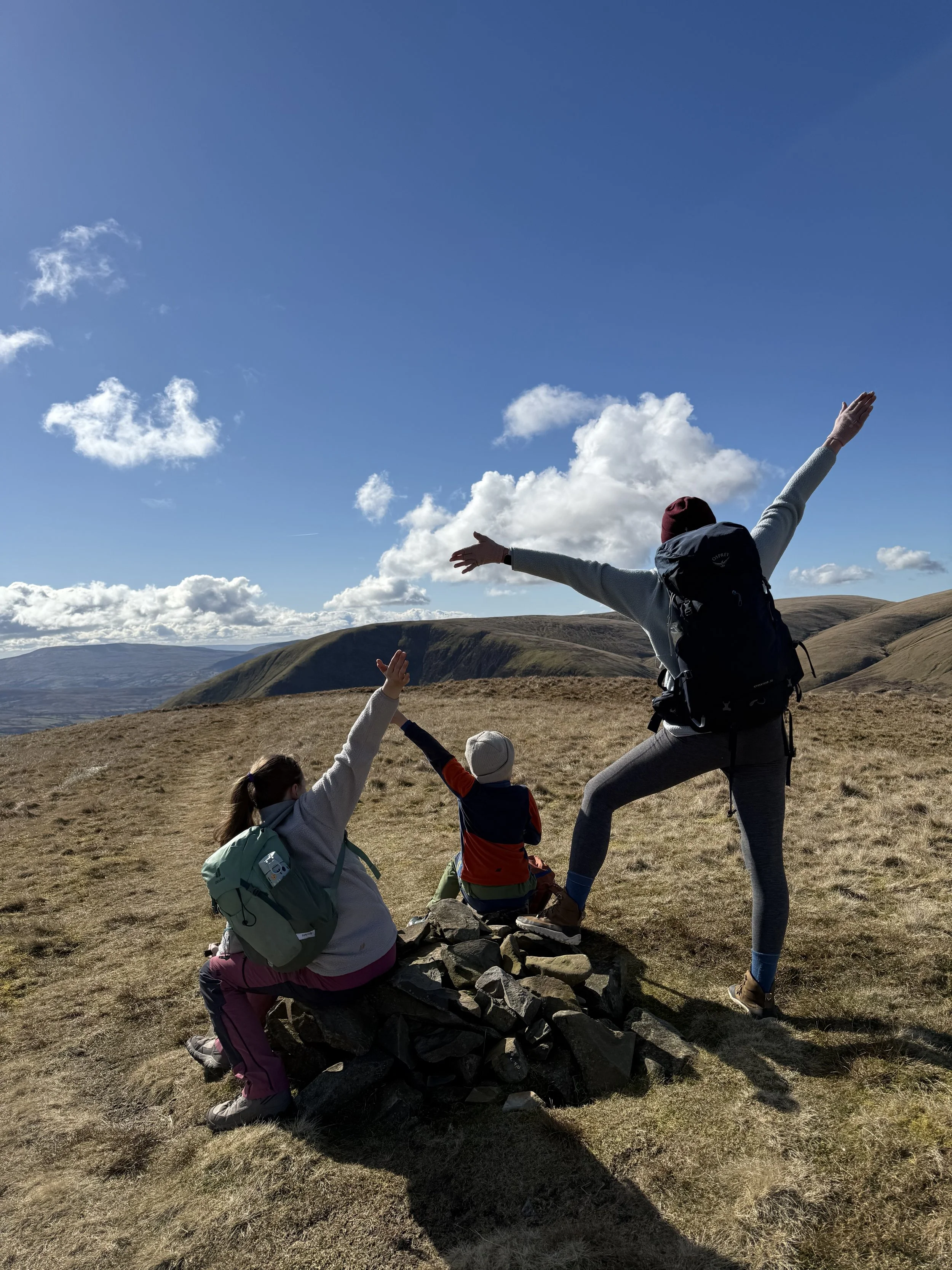 An adult and two children standing and sitting on a cairn with arms in the air on top of a mountain with mountains behind