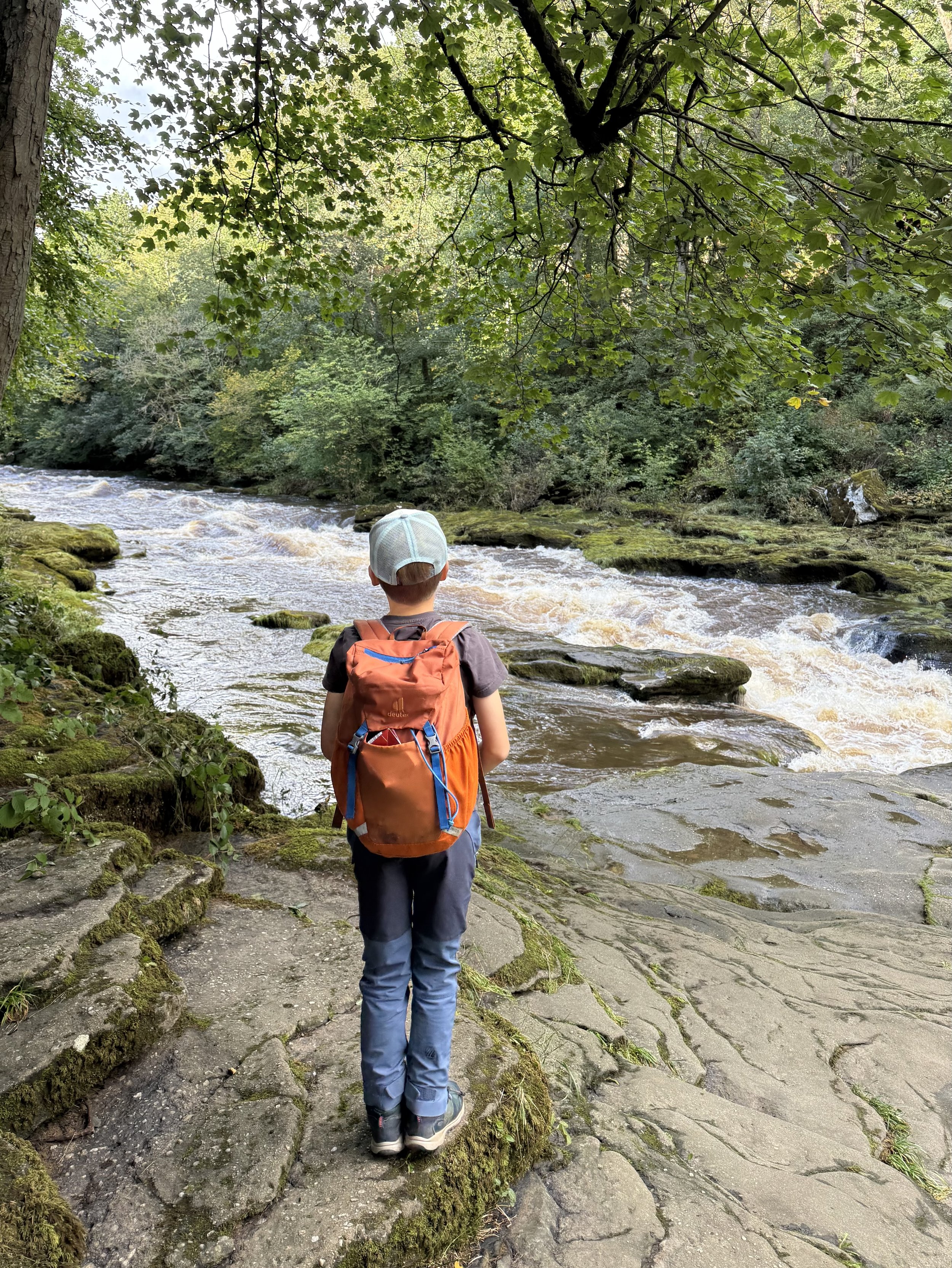 Child looking at the Strid water gushing along rocky narrow river bed