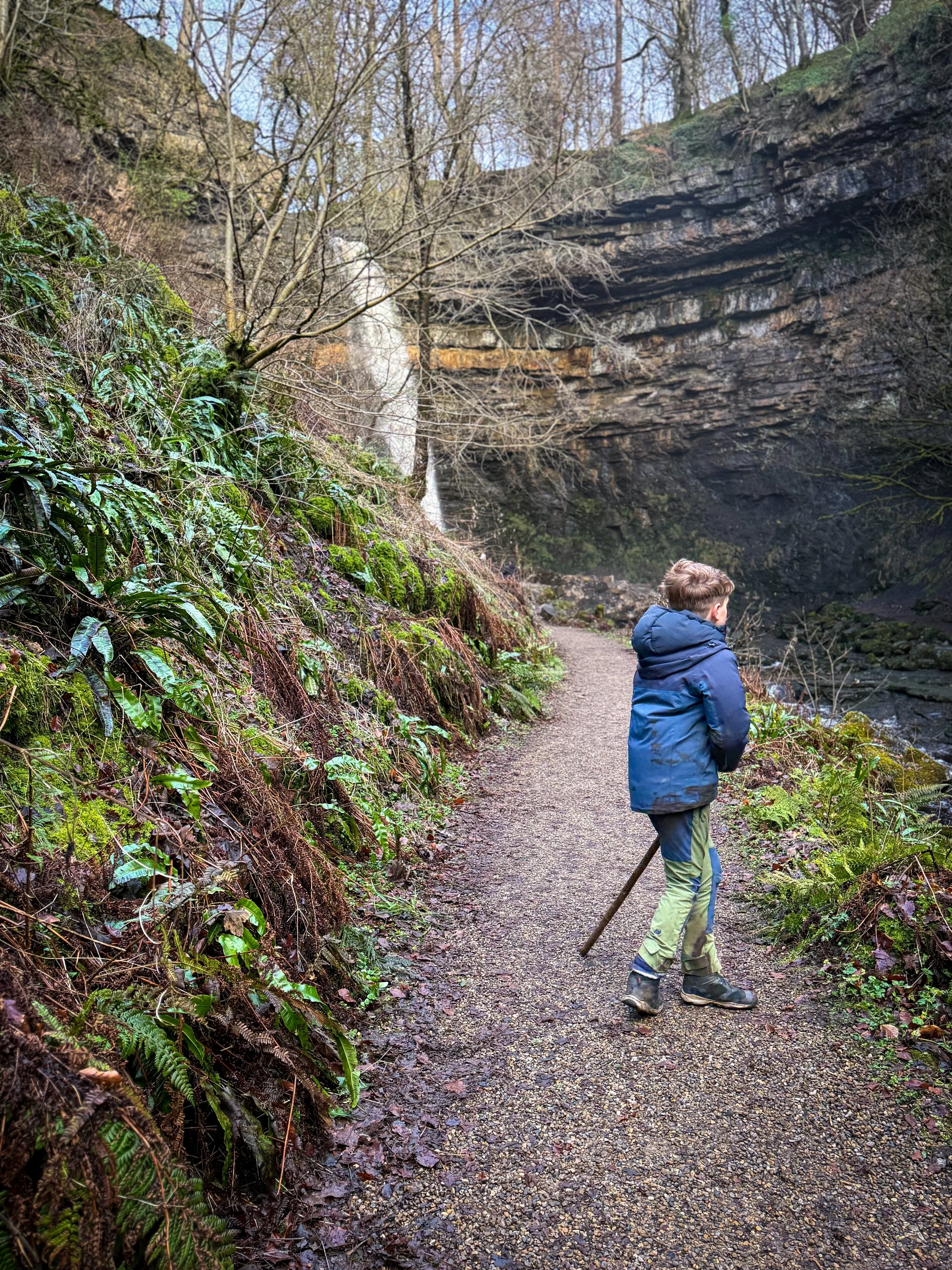 A child with a walking stick walking along a wooded gorge with a waterfall in the distance