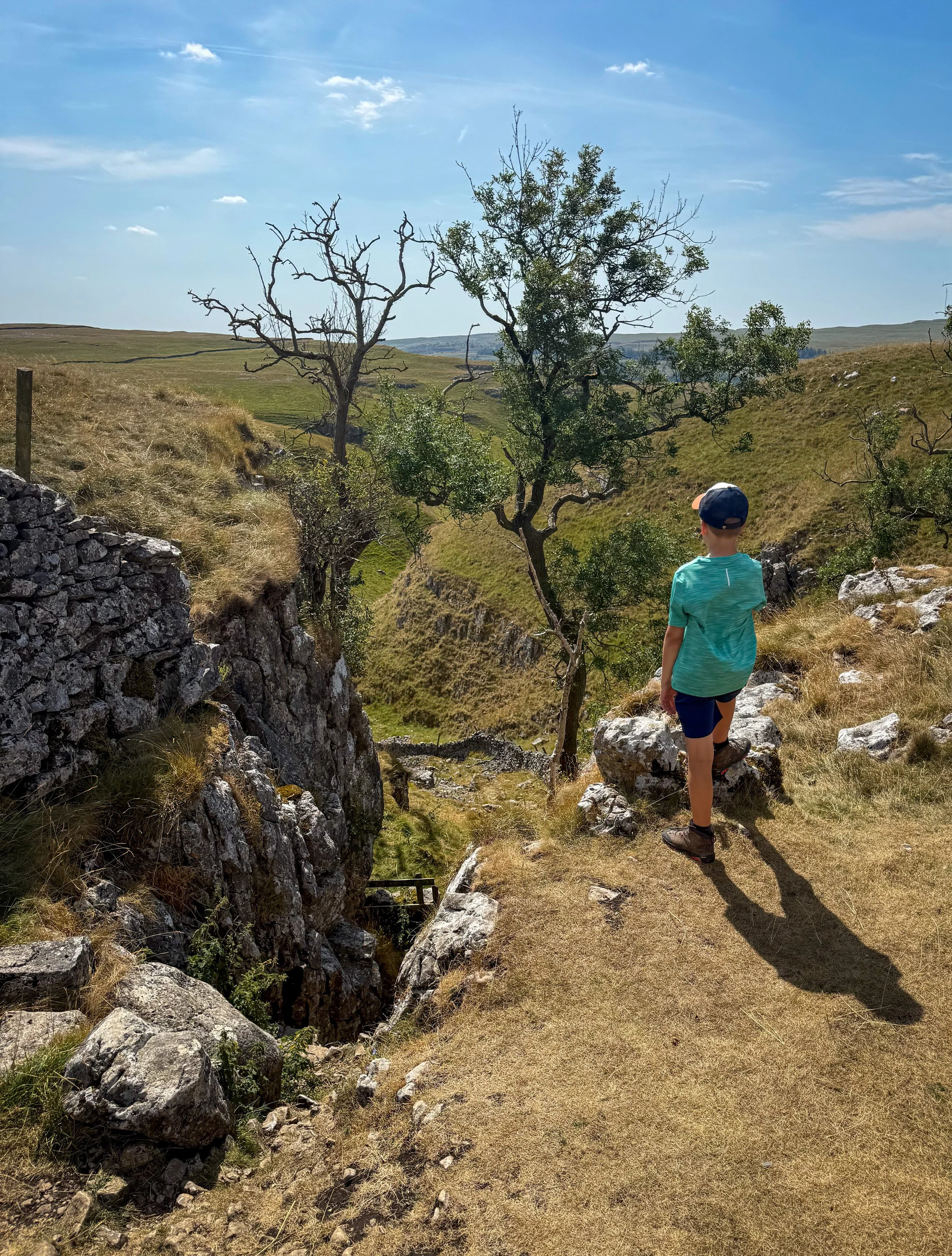 child looking down into a rocky gorge with gnarly trees in the summer under blue skies