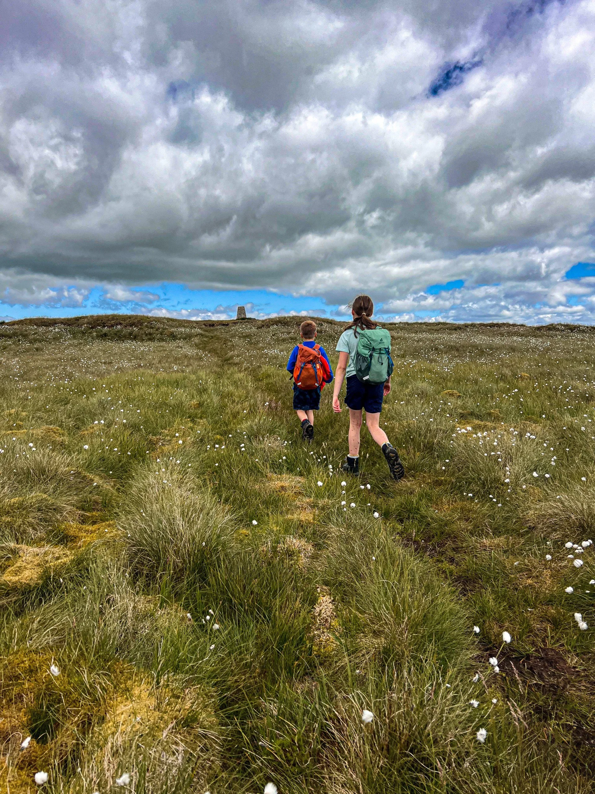 Two children walking towards the trig point along grassy fell with fluffy wild flowers
