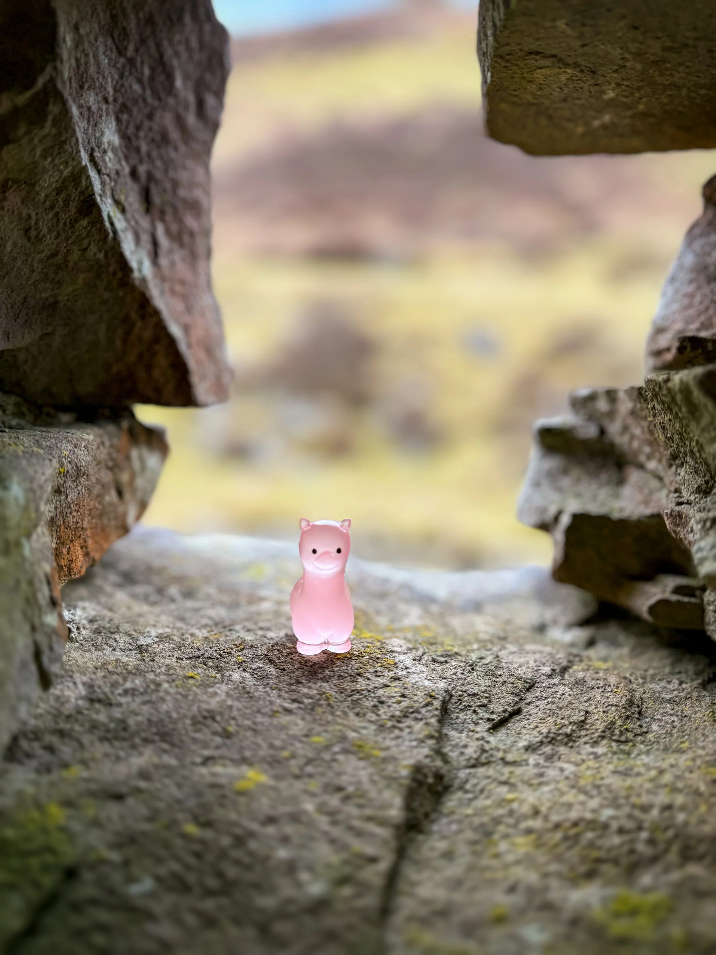 A small pink llama toy inside a ruined stone window