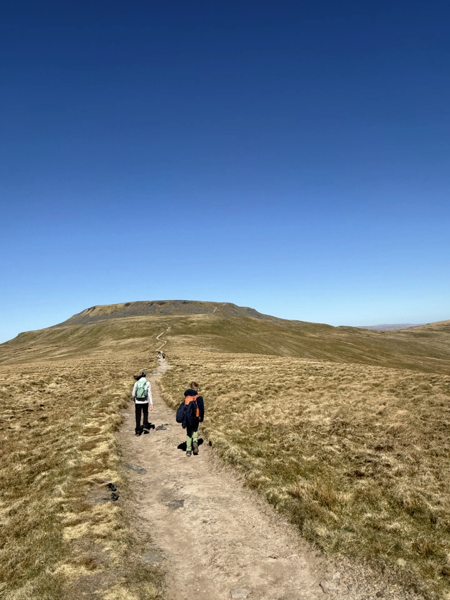 Walking up to the top of Ingleborough two children on the path ahead