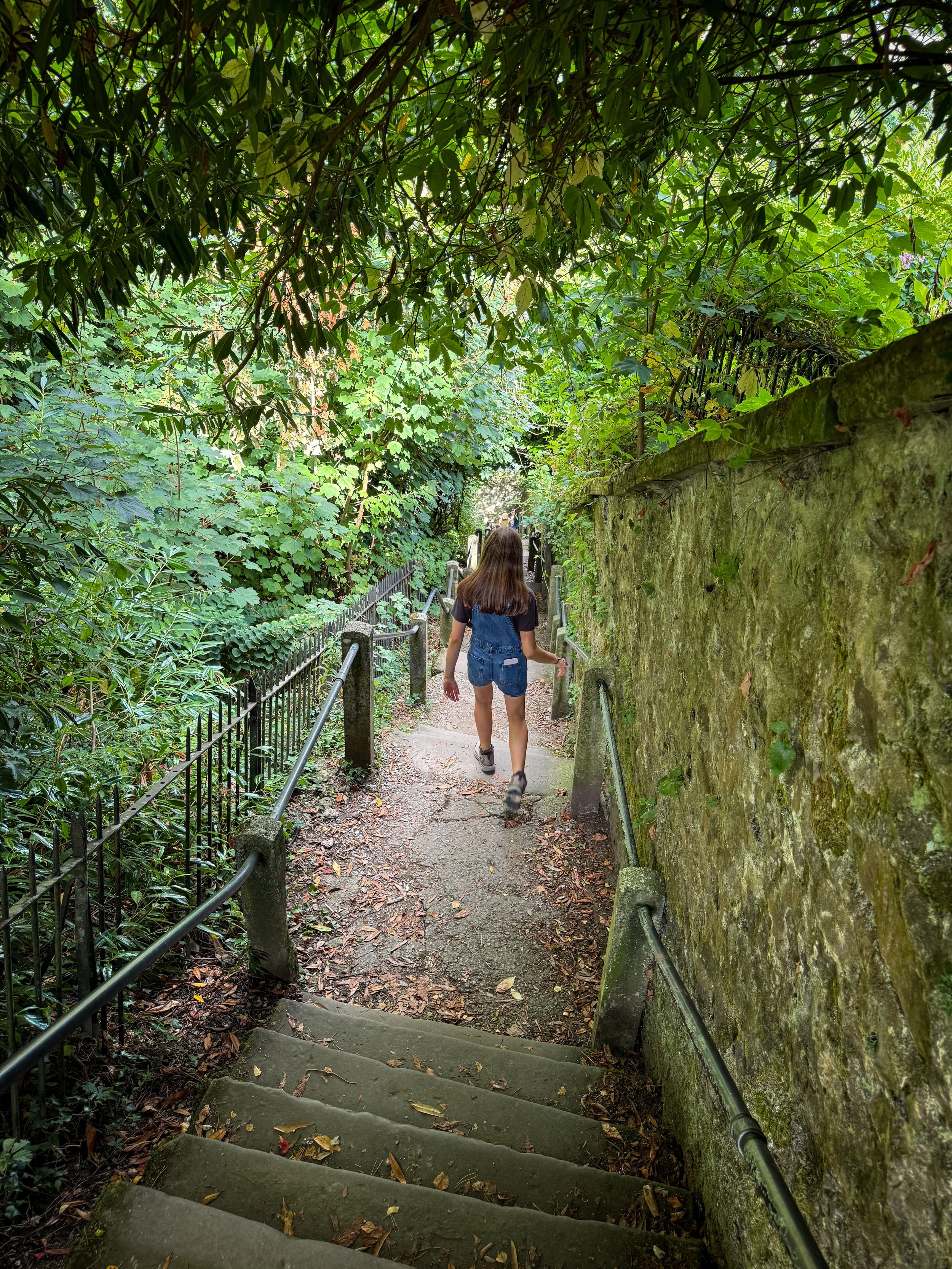 Child walking down some steps holding onto a handrail with green trees and bushes surrounding them