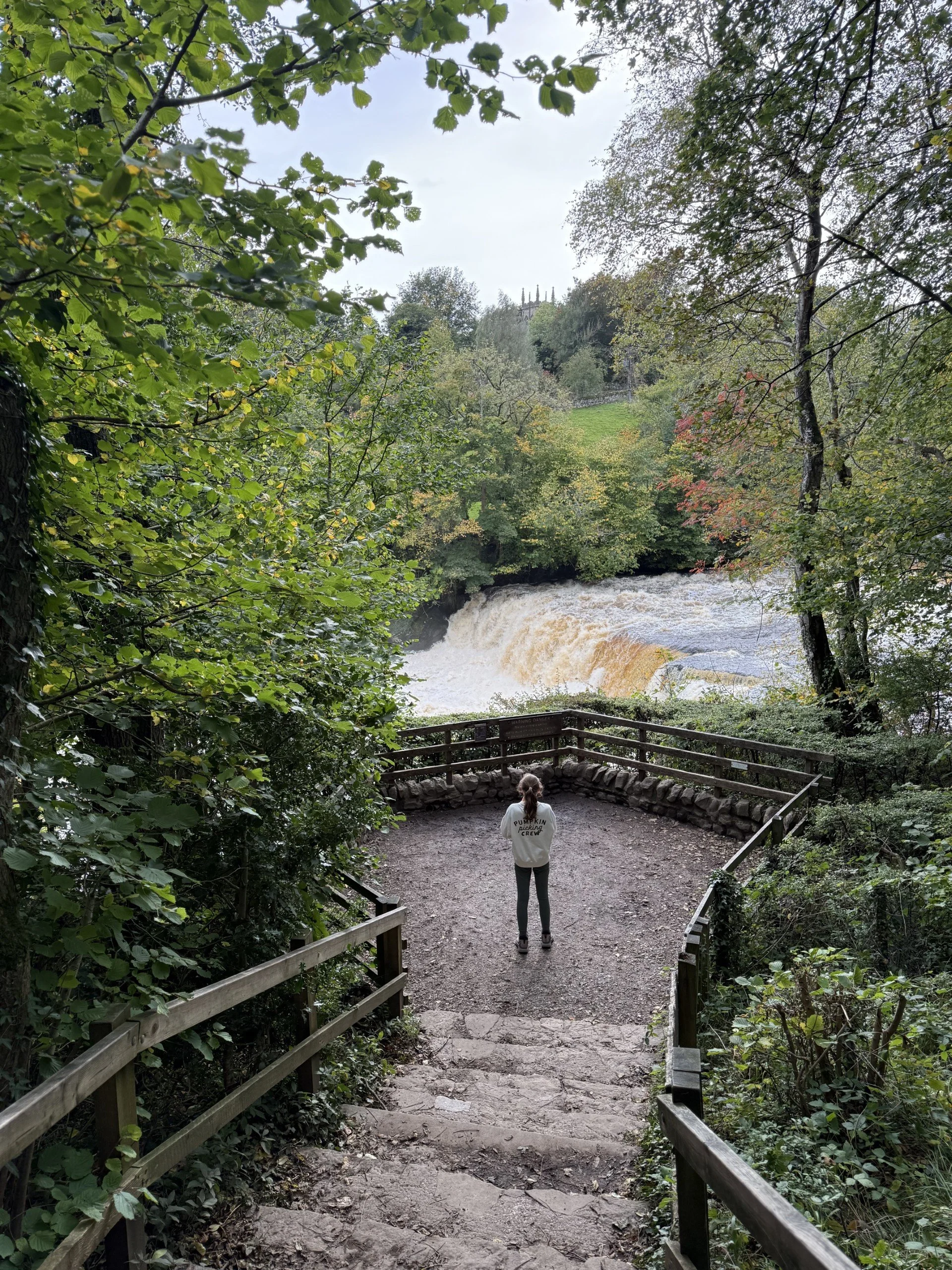 Child at the bottom of a staircase with waterfalls in the background with early autumn trees