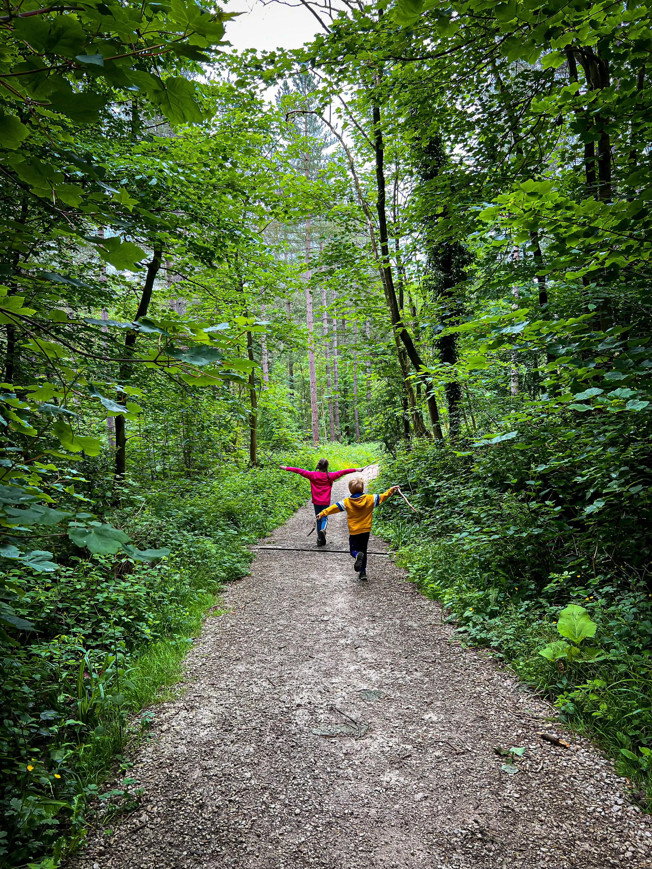 Two children with arms wide walking through woodland