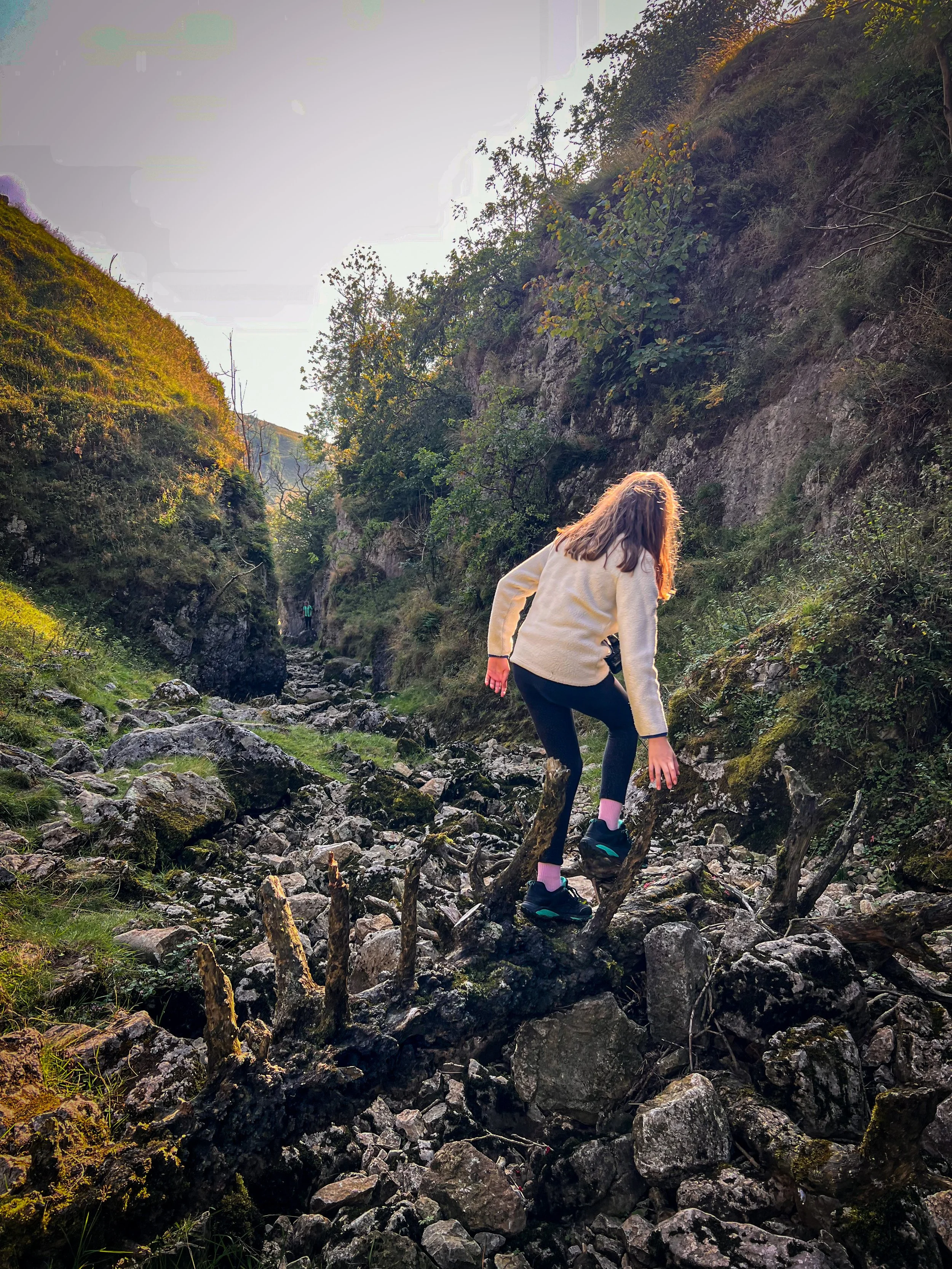 Child clambering along a fallen tree trunk in autumn light