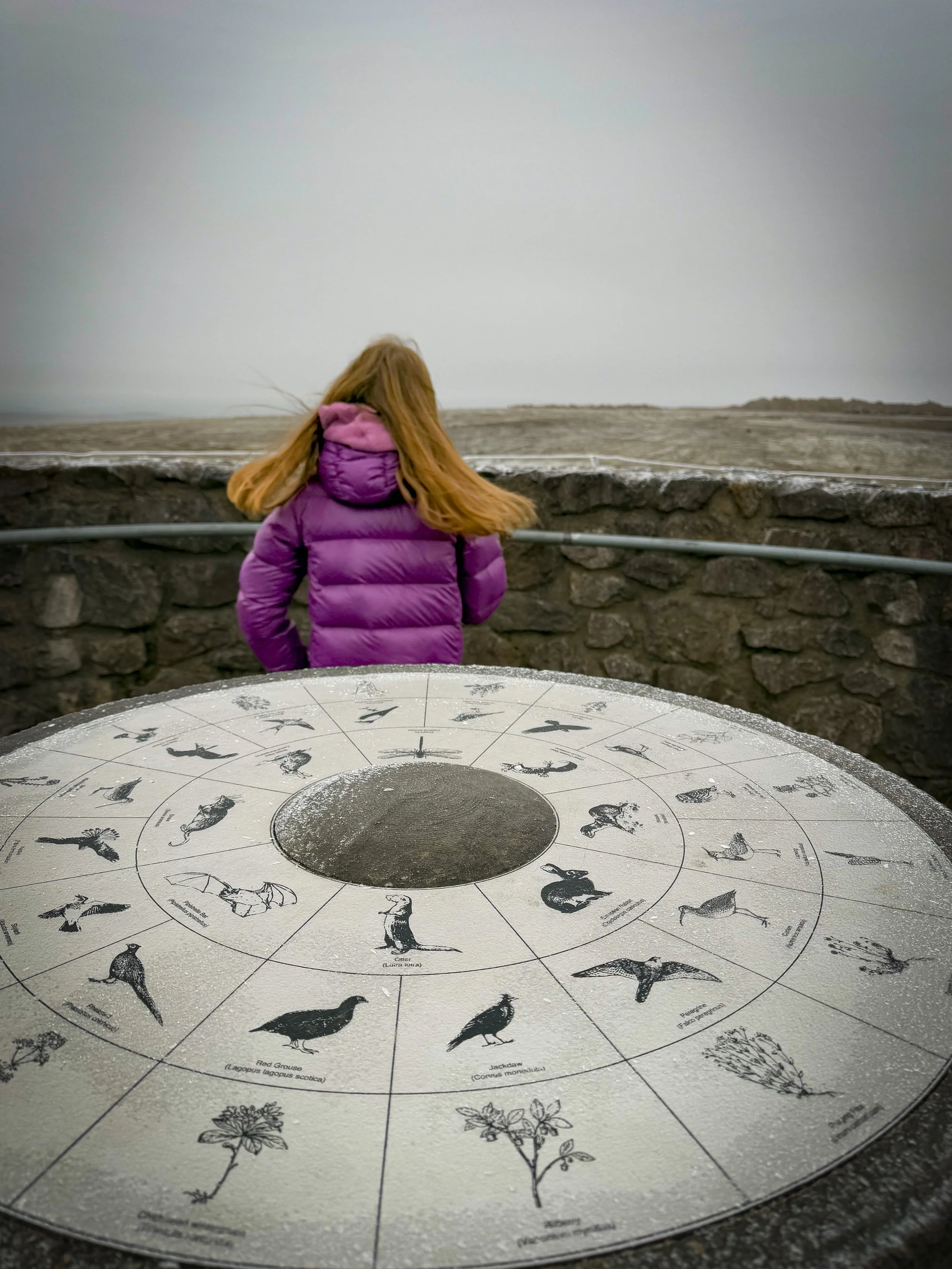 A circular metal information pillar with details of birds and nature with child standing behind