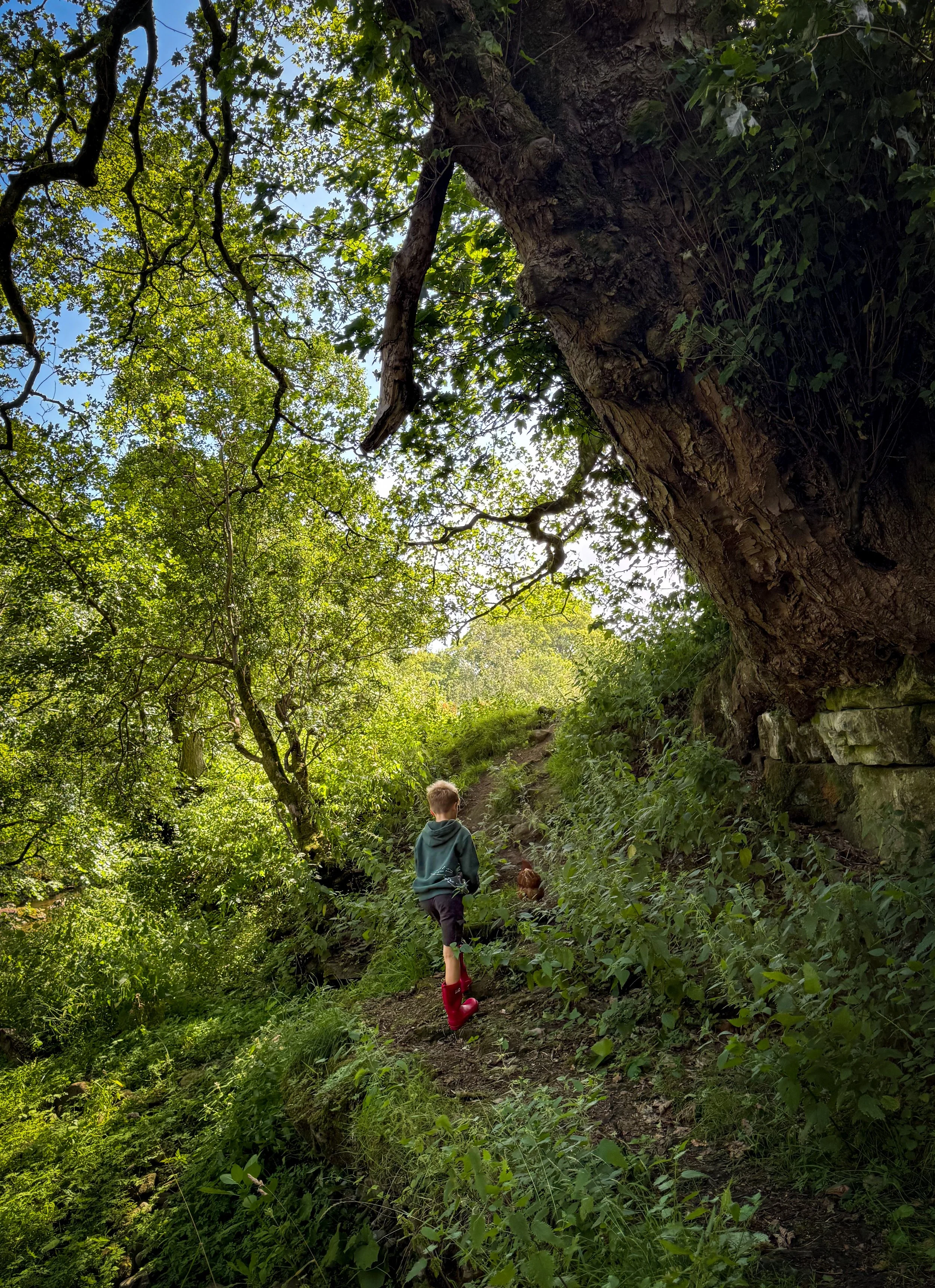 Child walking along a path up a riverbank surrounded by green trees