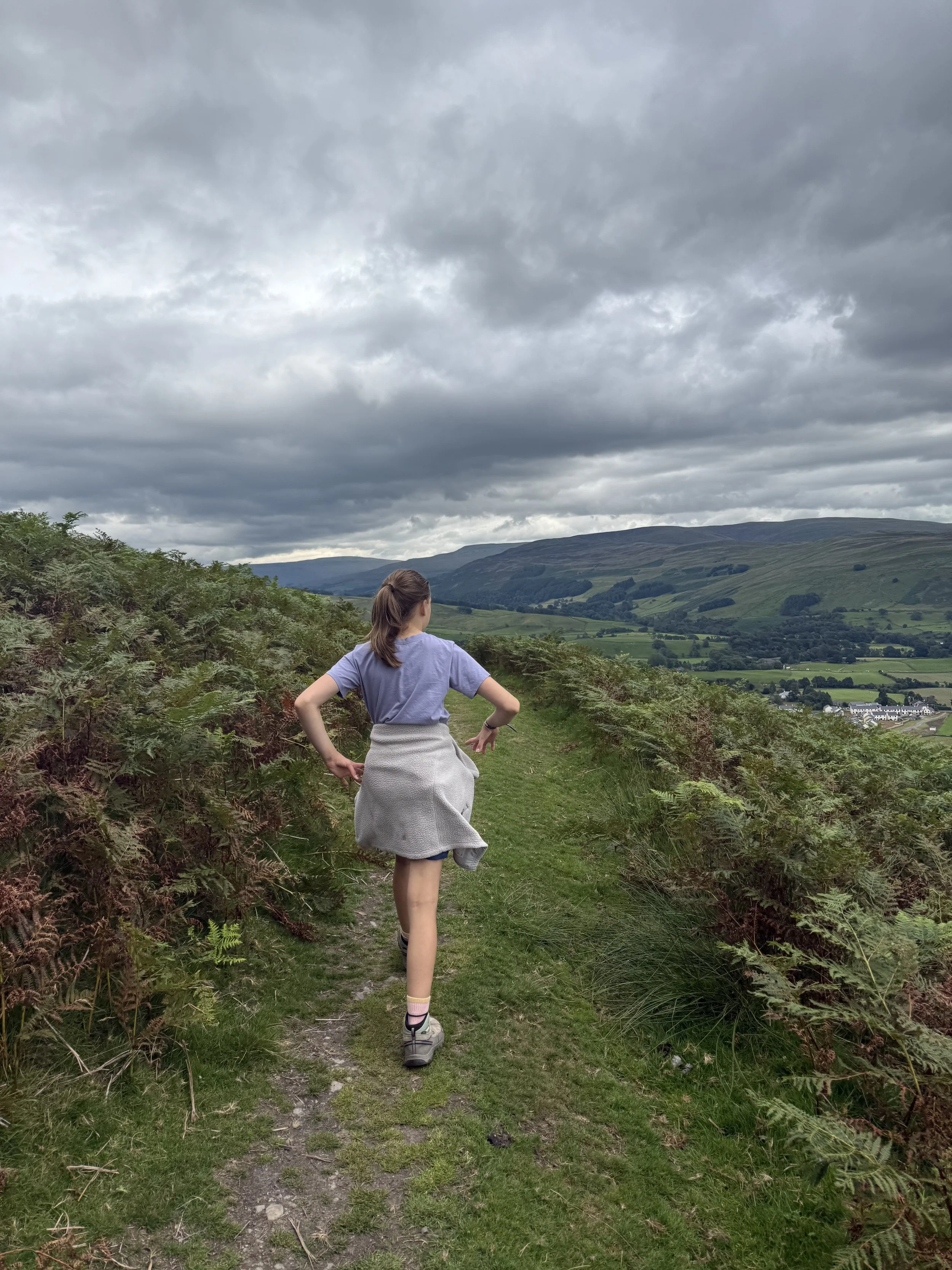 Child walking through the ferns under summer grey skies
