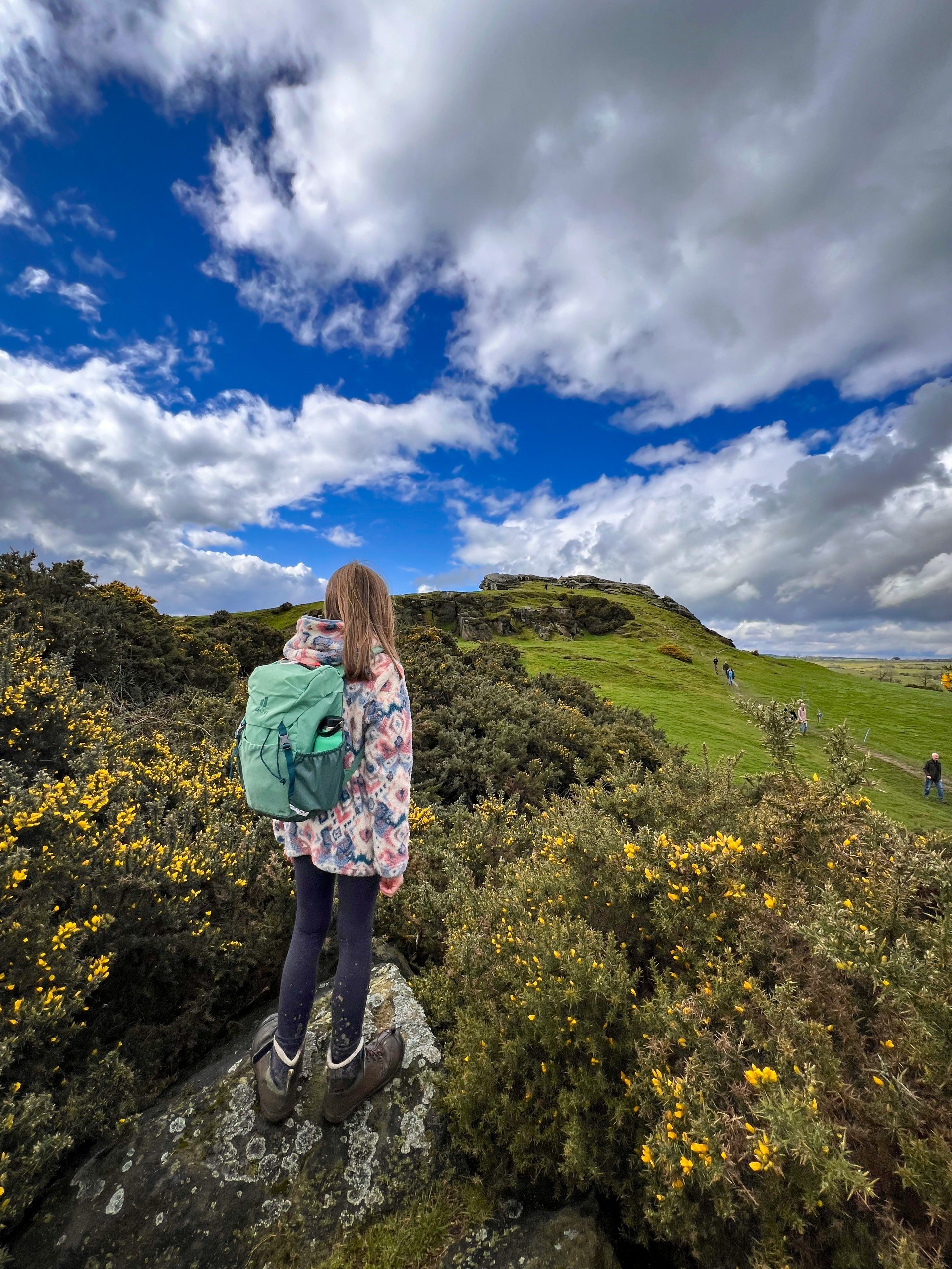 Child walking towards yellow gorse flowers with large rocky crag in the distance and blue sky