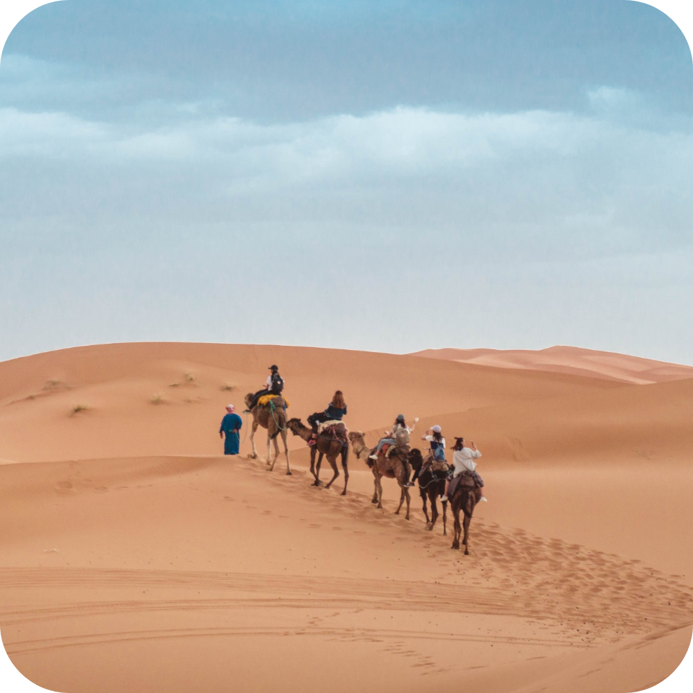 Equity Point Marrakech Hostel Desert Tour.png