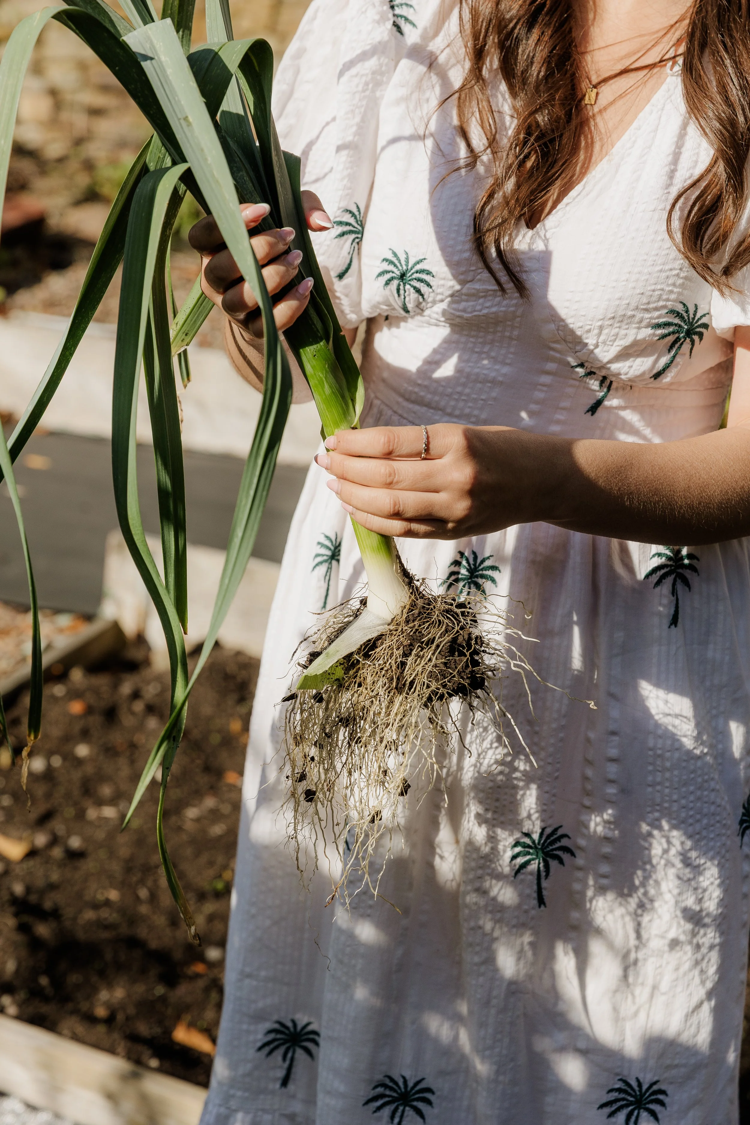 Rebecca Archer - Allotment-49.jpg