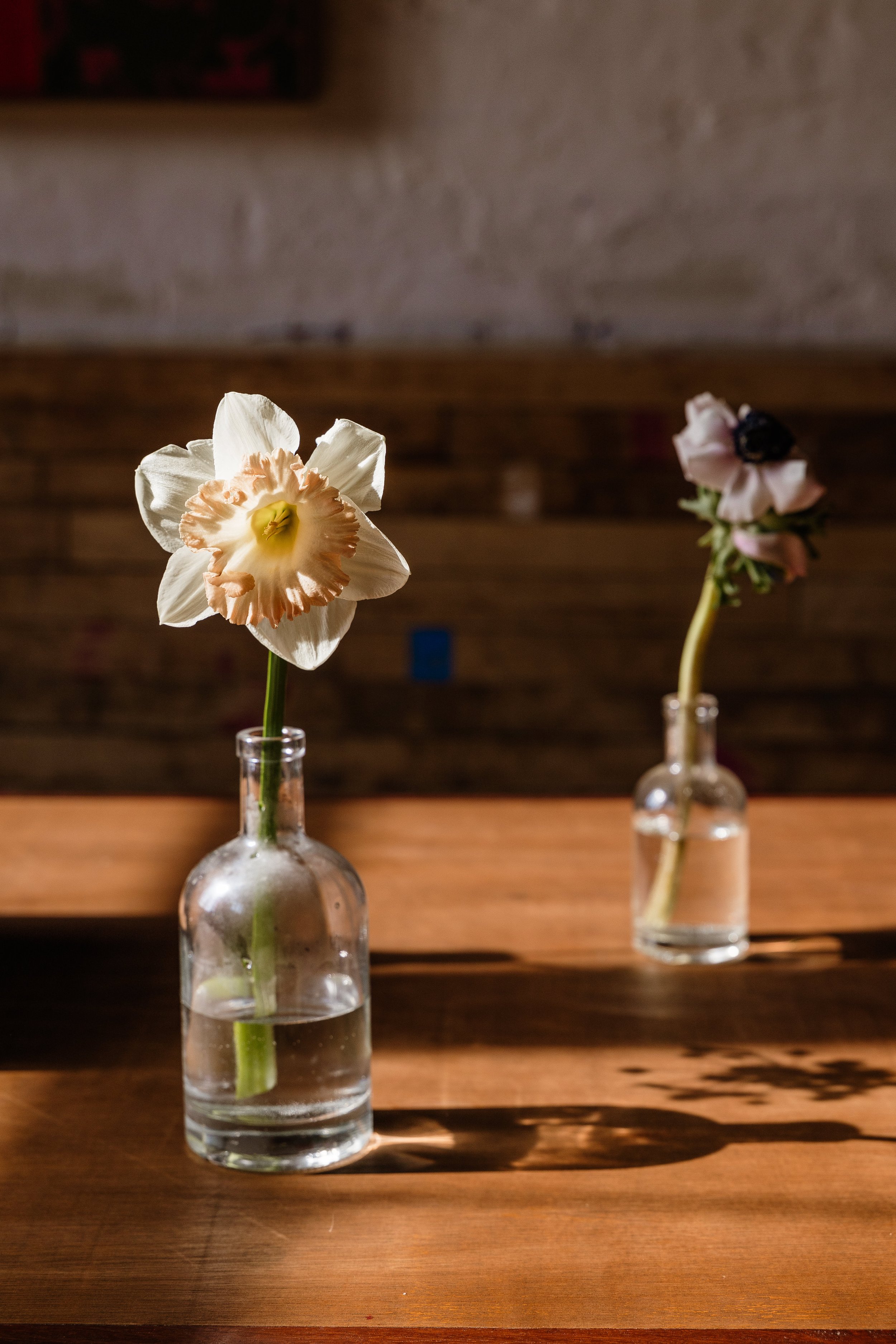 The Victoria Spring Edition-3.jpg