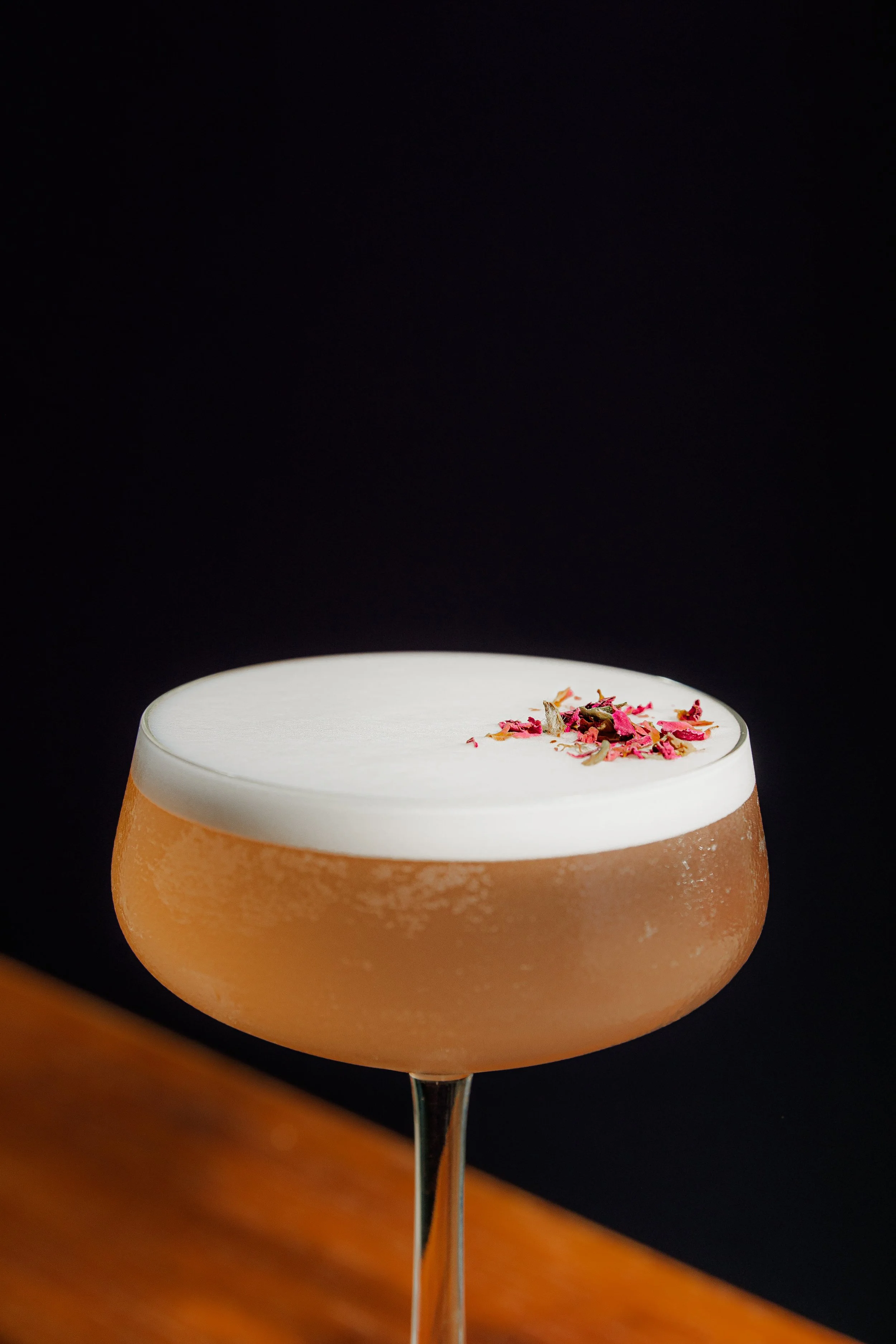 Dead Donkey Spring 2025-55.jpg