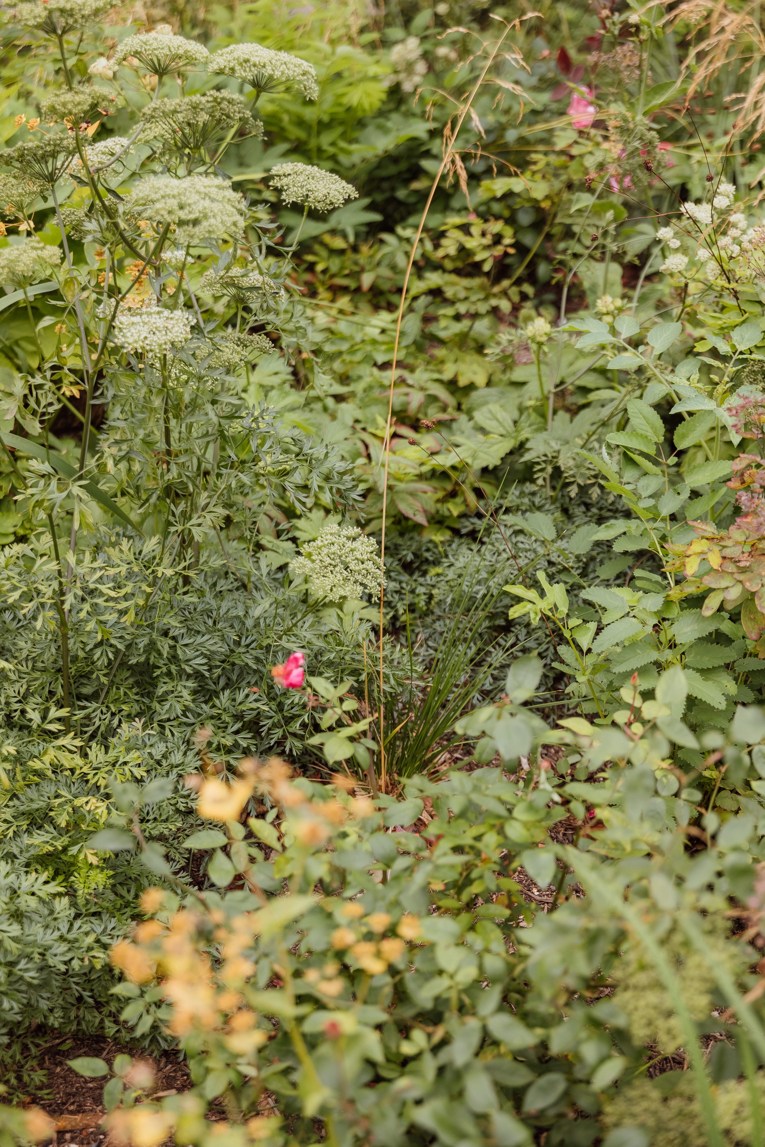 Horatio's Garden-178.jpg