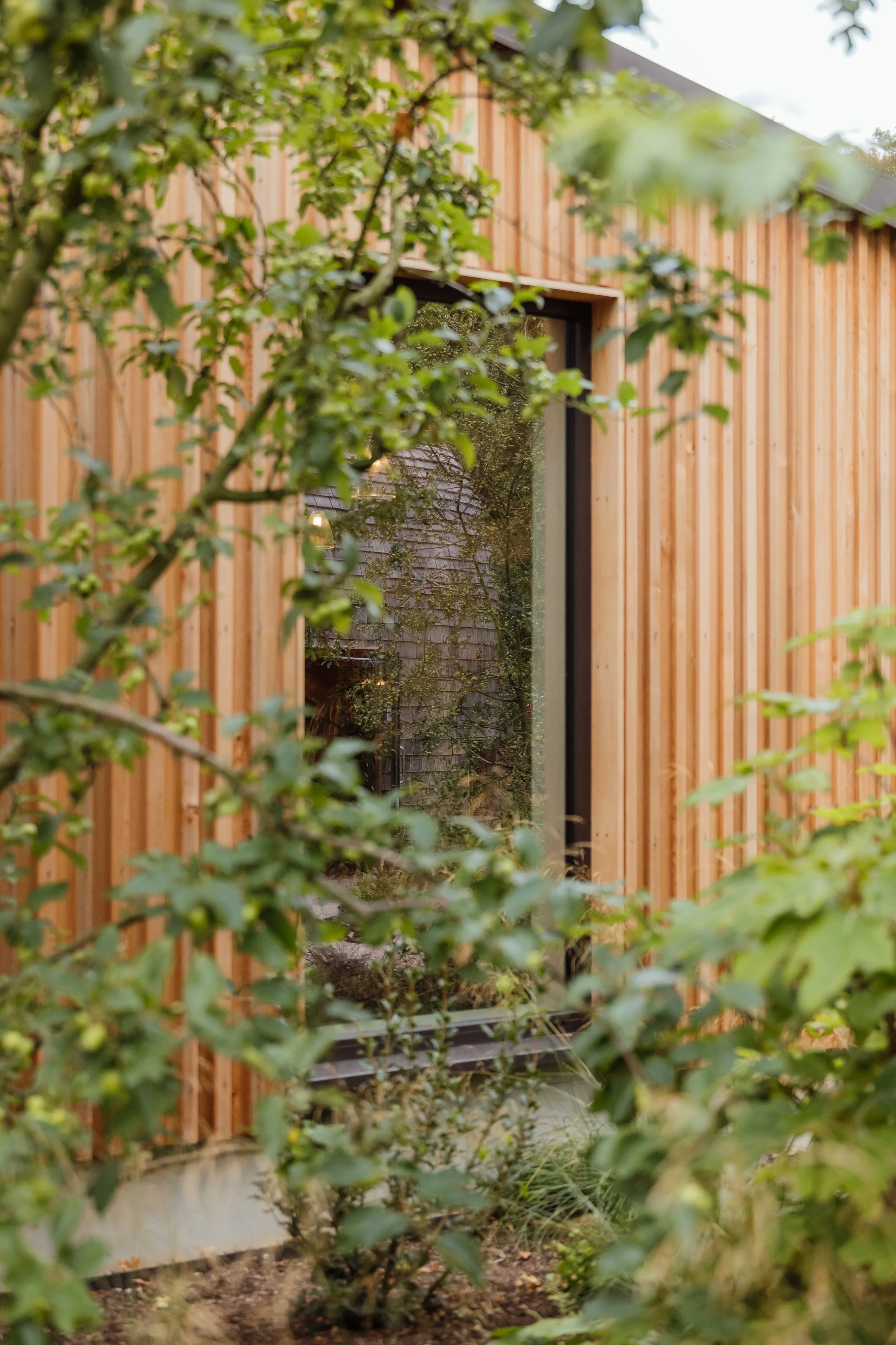 Horatio's Garden-33.jpg