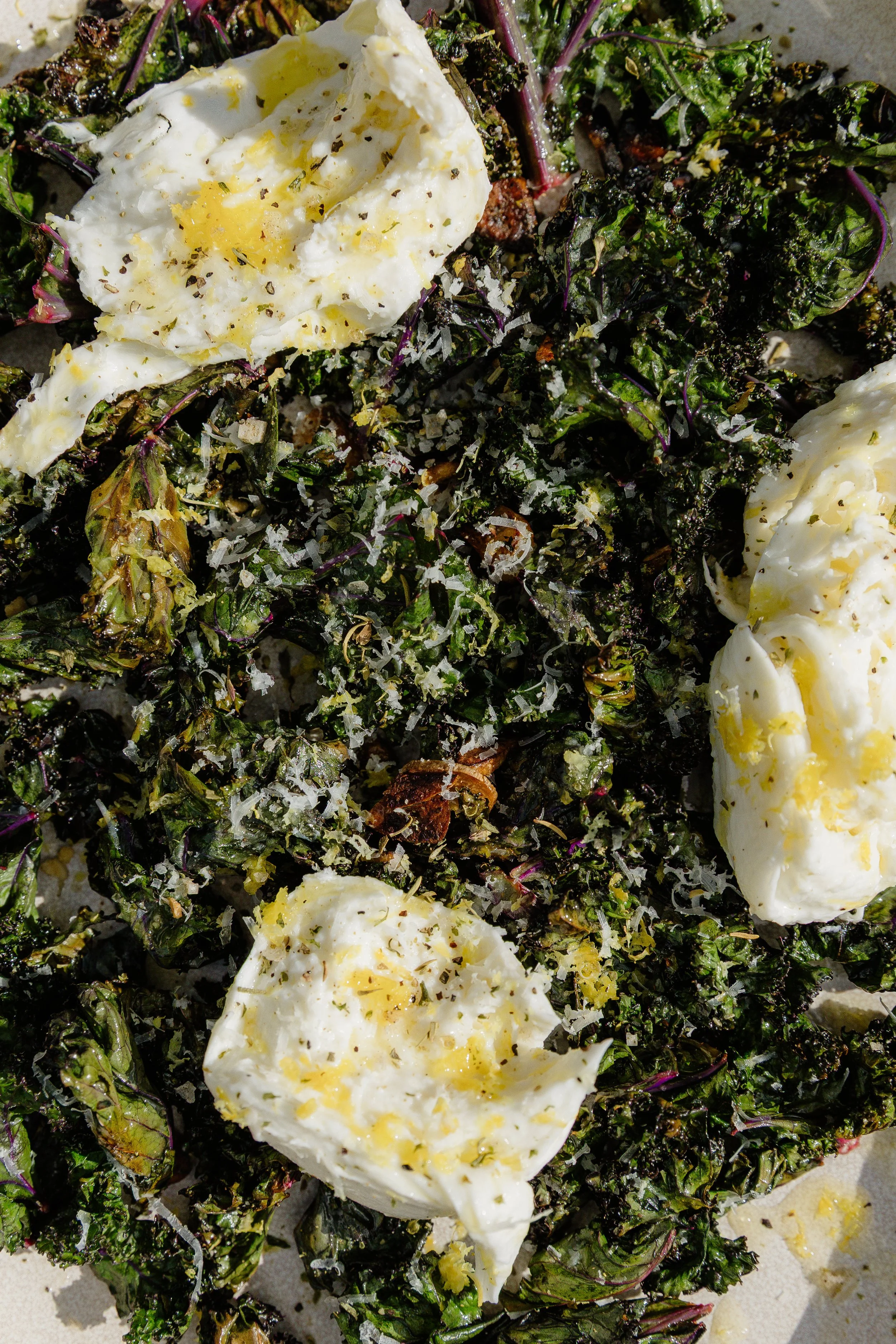 Rebecca Archer - Allotment-139.jpg