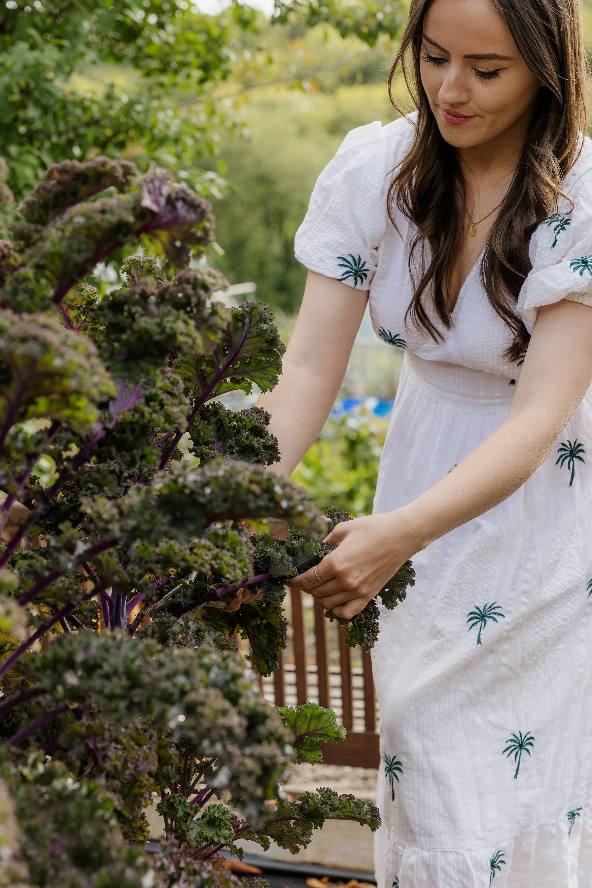 Rebecca Archer - Allotment-9.jpg