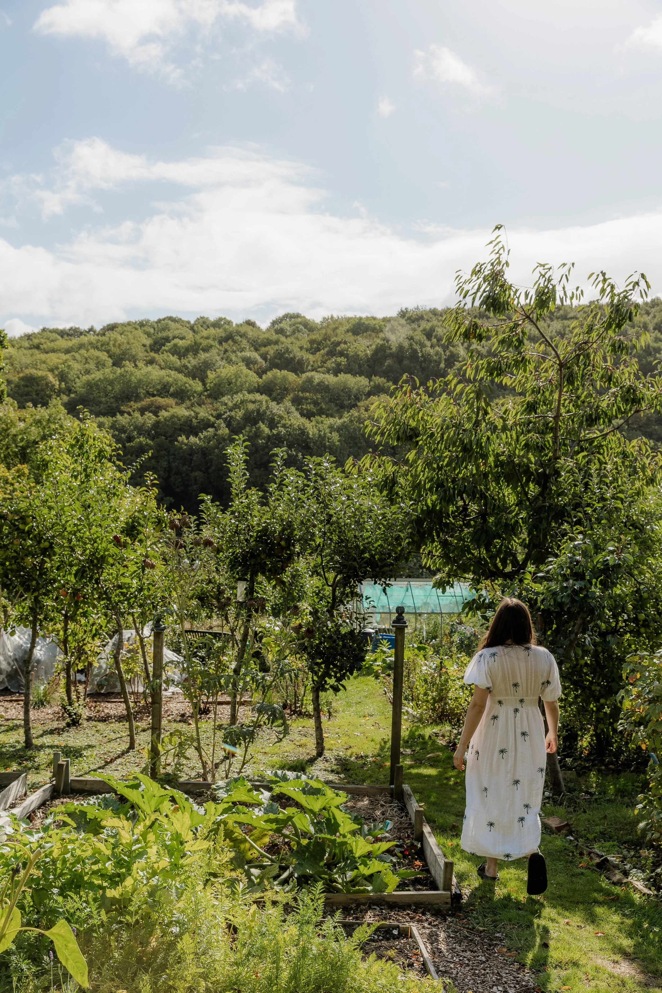 Rebecca Archer - Allotment-60.jpg