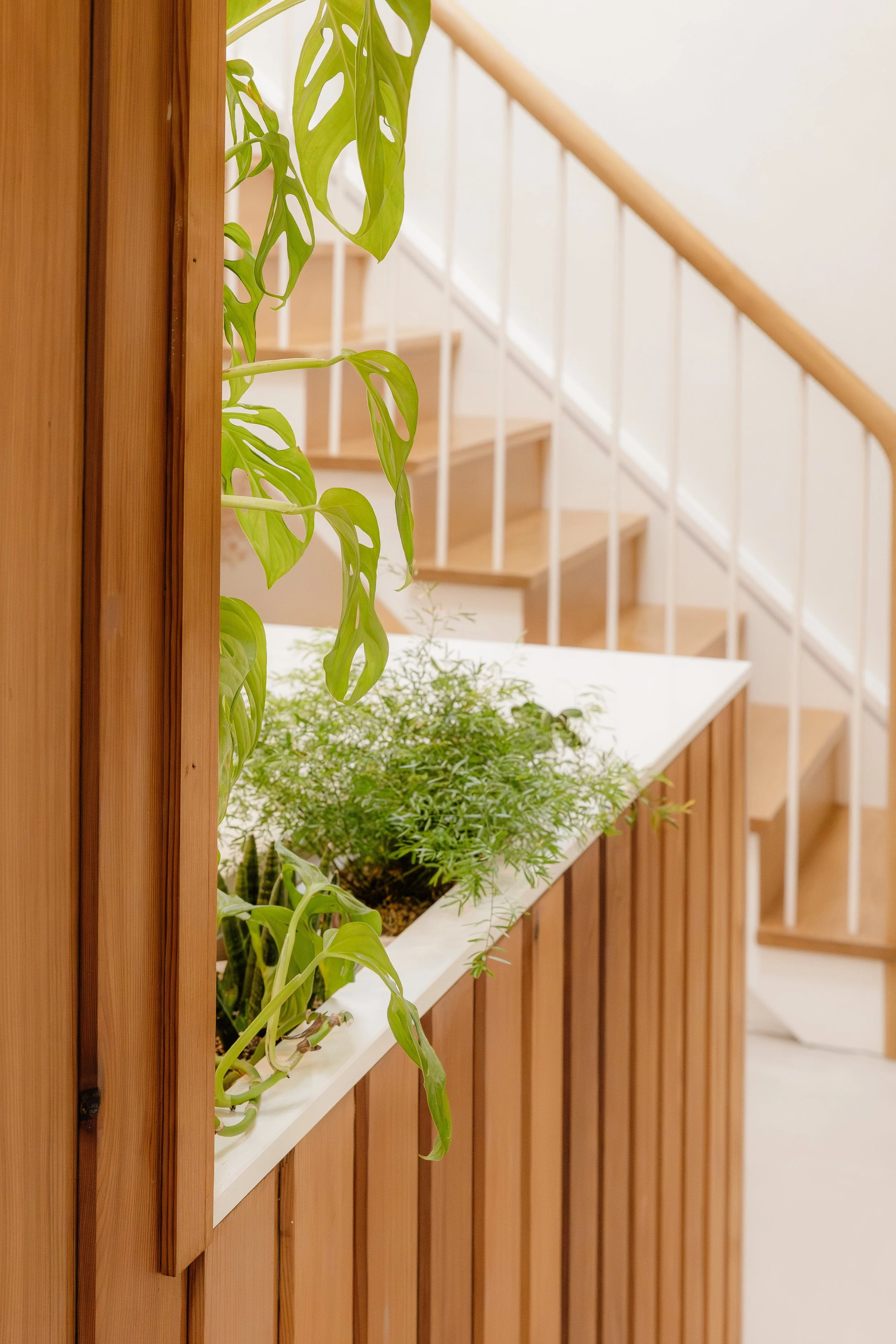 Mesh Architects - September 2025-209.jpg