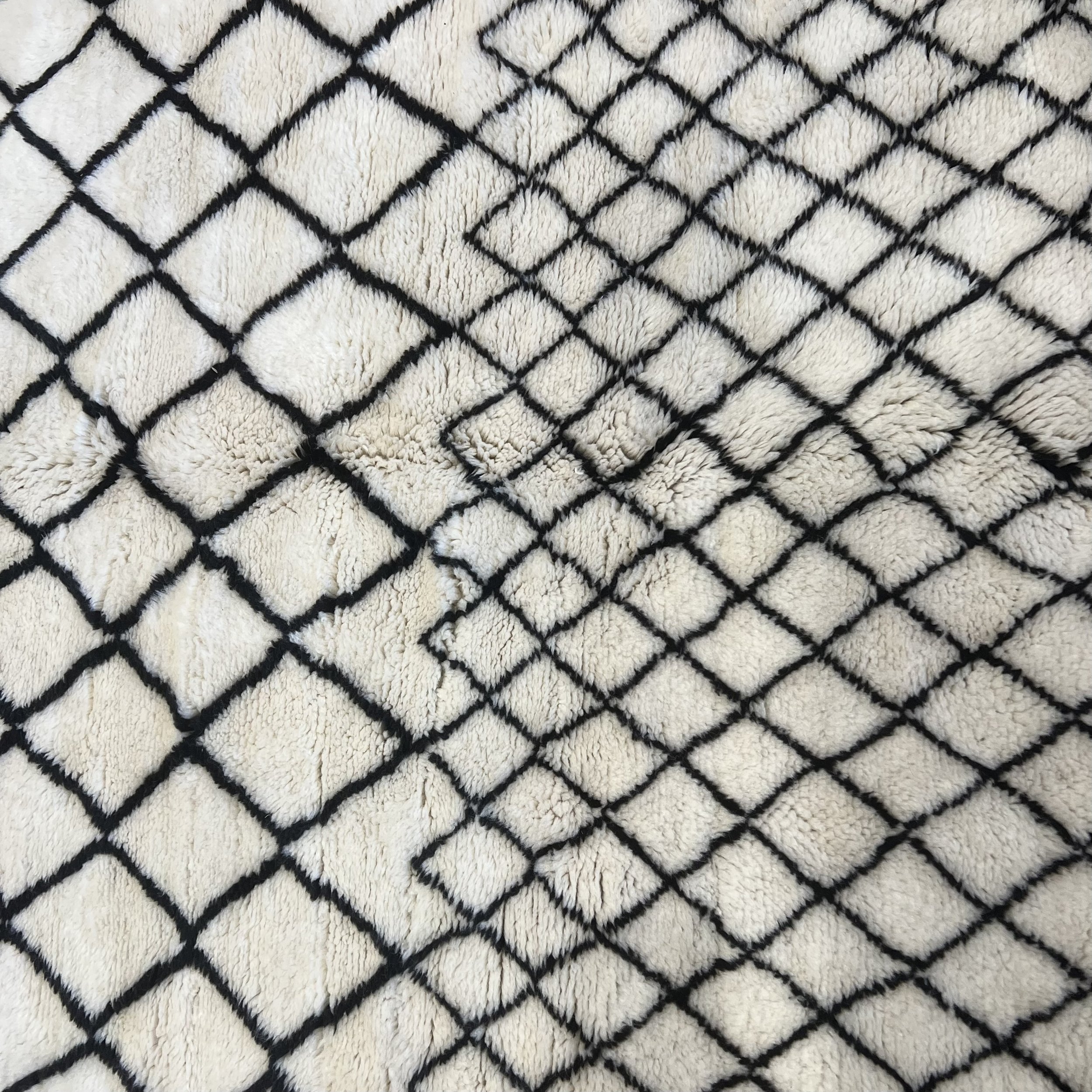 rug 4 d.jpg