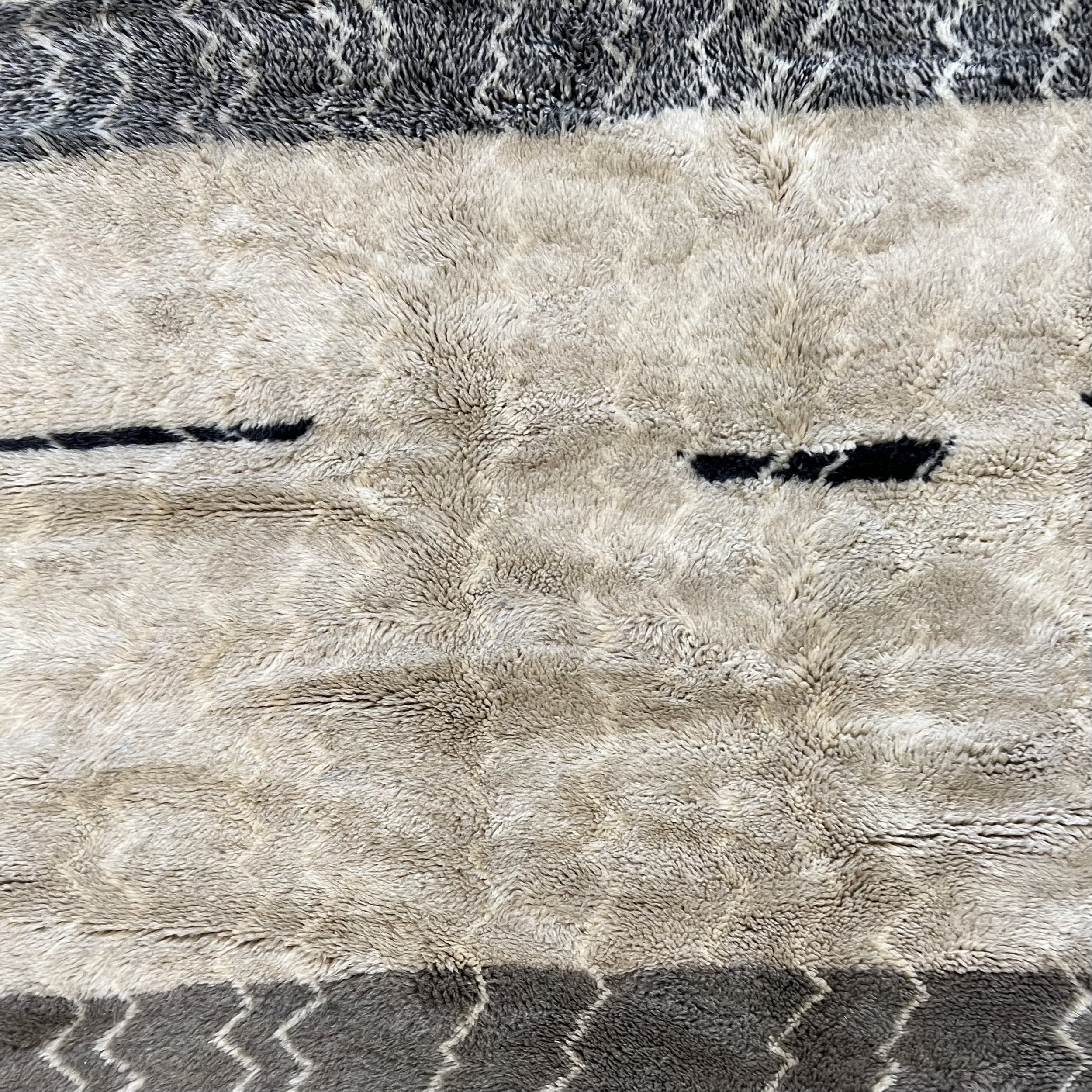 rug 3d.jpg
