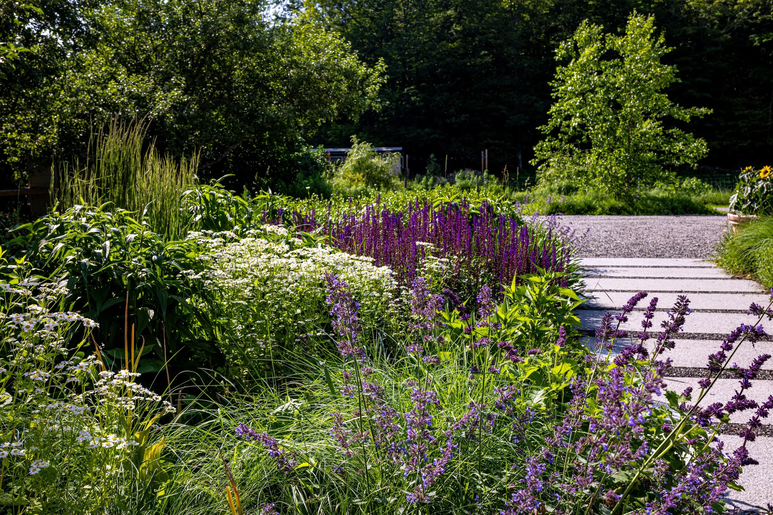 Gavin Boyce-Ratliff Landscape Design