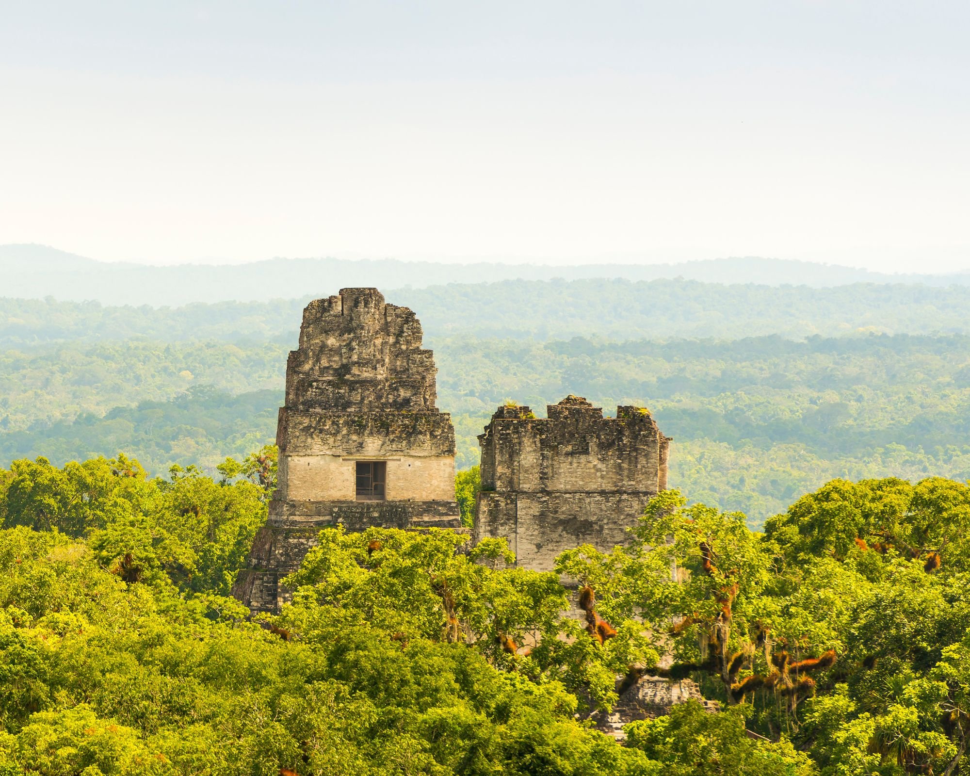 Tikal: donde la selva susurra la historia de los Mayas