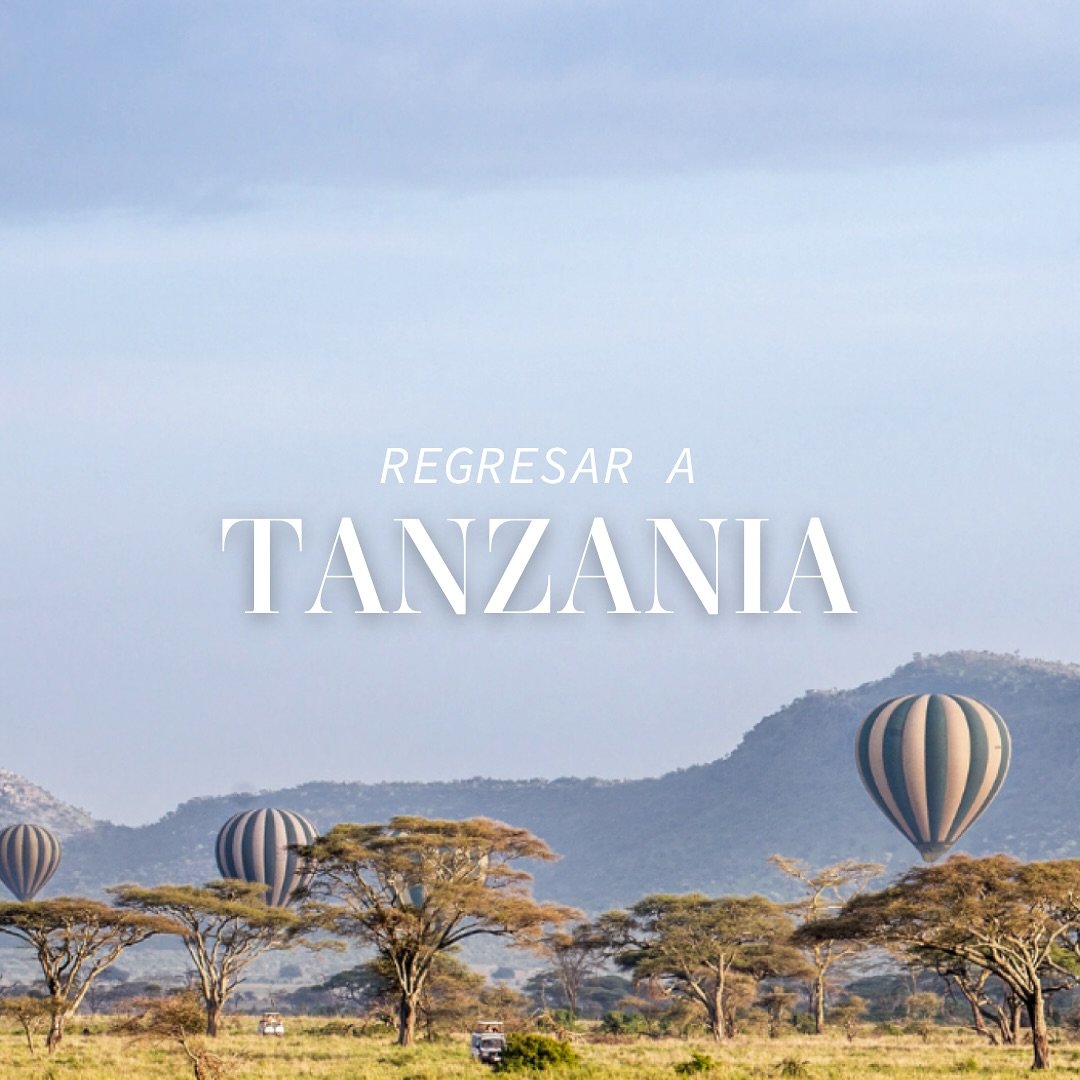 Volver a Tanzania... o ir por primera vez.

Este es un llamado.
A quienes tienen ganas locas de ir a su primer safari,
y a quienes ya estuvieron&hellip; pero saben que Tanzania nunca se agota.
Porque siempre hay algo nuevo que asombra:
un rinc&oacute