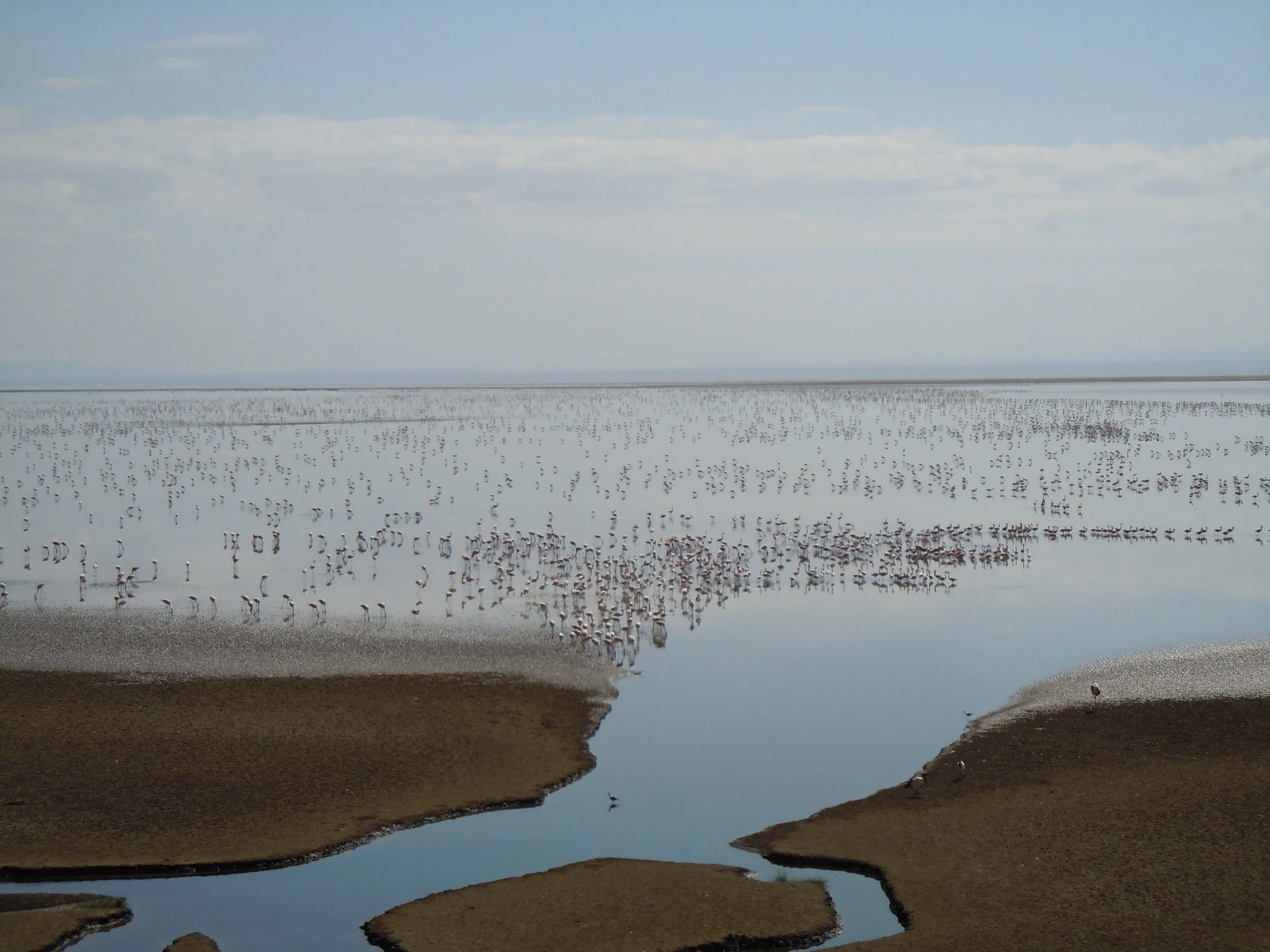 Lake Natron. Tanzania.JPG