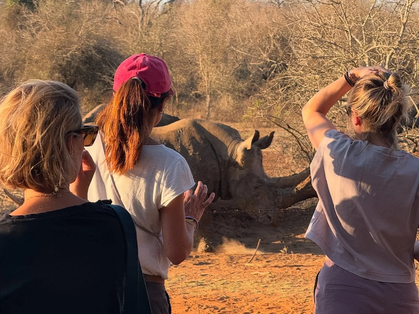 Safaris exclusivos en los Parques Nacionales y Reservas Privadas más prestigiosas de Sudáfrica y Eswatini: donde la aventura se vive con autenticidad, confort y los encuentros con la vida salvaje son en total intimidad. 
#Sudafrica #Es