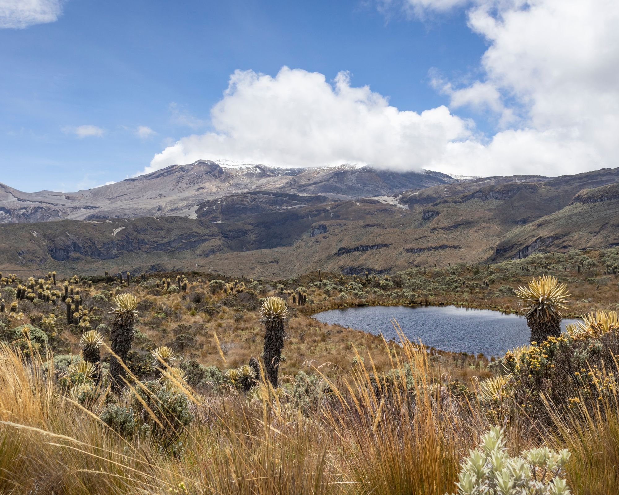 LANDSCAPE IN LOS NEVADOS NATIONAL NATURAL PARK.jpg