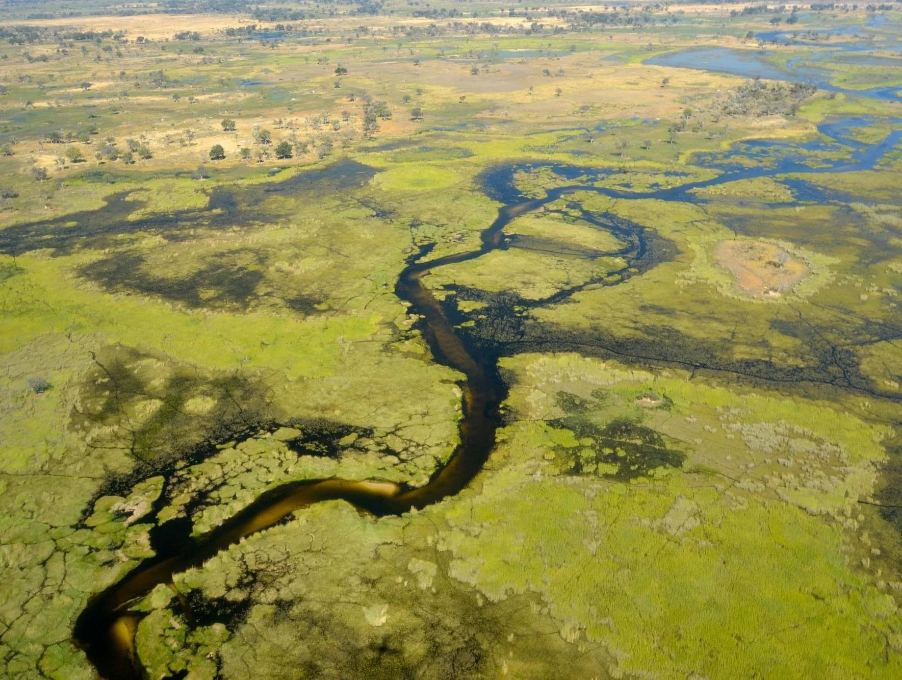 from de air_delta okavango_botswana.jpg