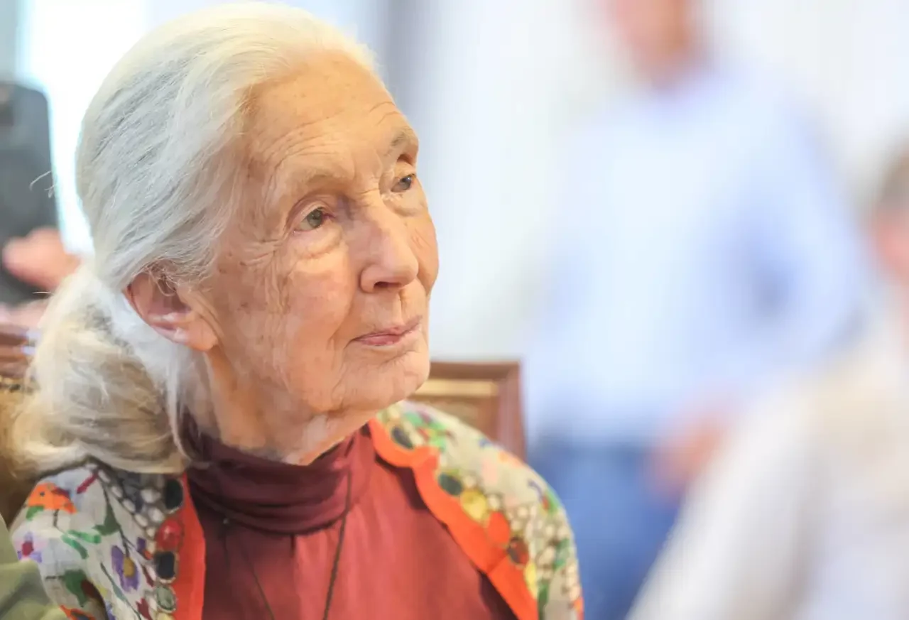 jane-goodall_f901b3f7_250521151218_1280x873.webp