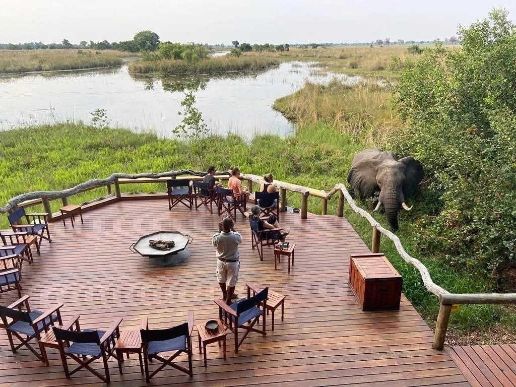 Ruta íntima en Botswana: lujo consciente y conexión con la naturaleza